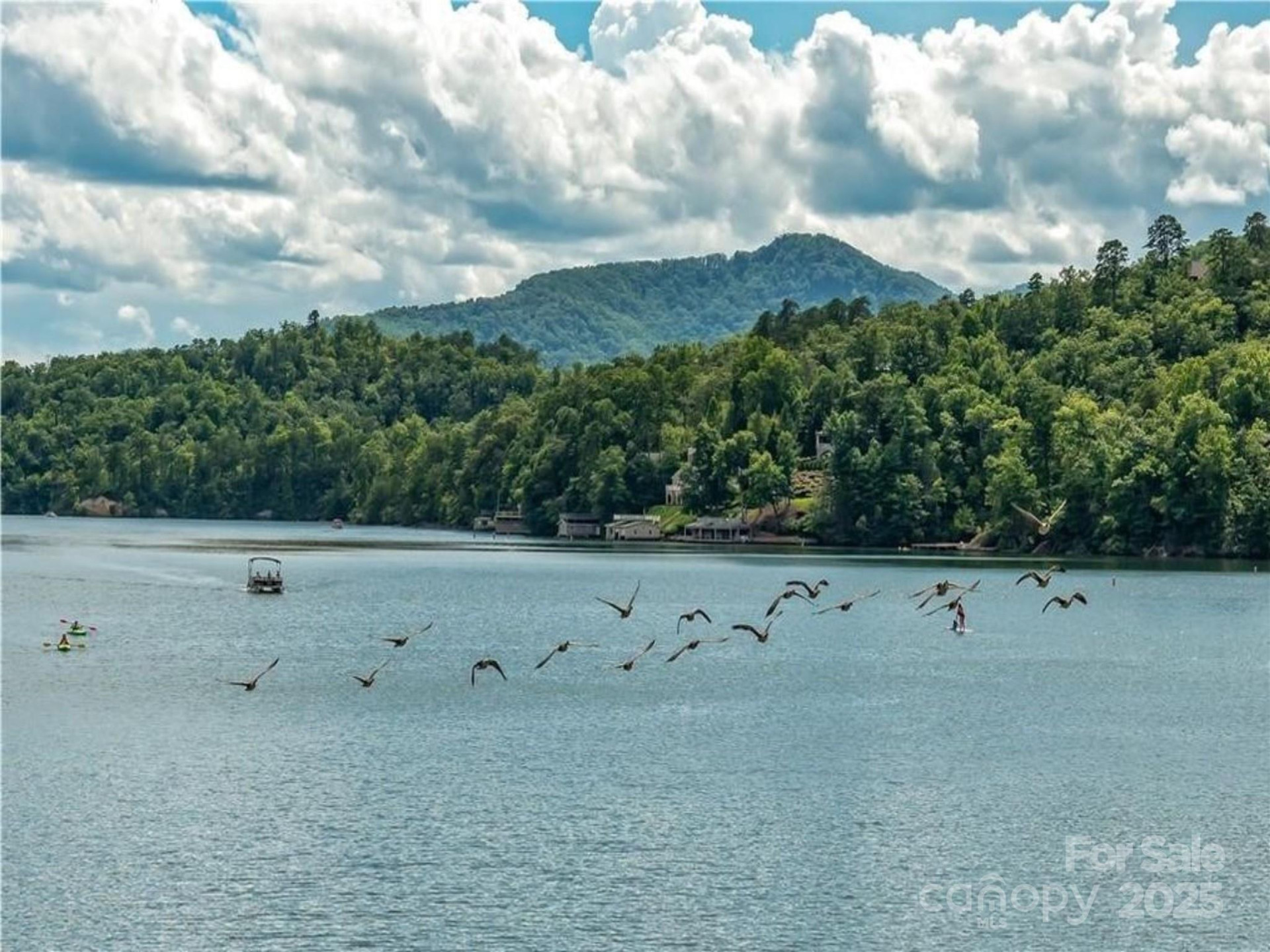 0 Winesap Boulevard #81 - Photo 19