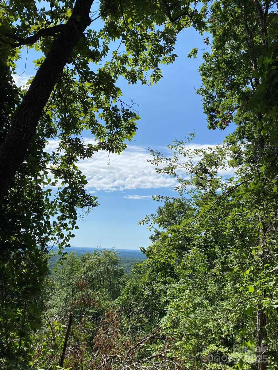 0 Winesap Boulevard #81 - Photo 3