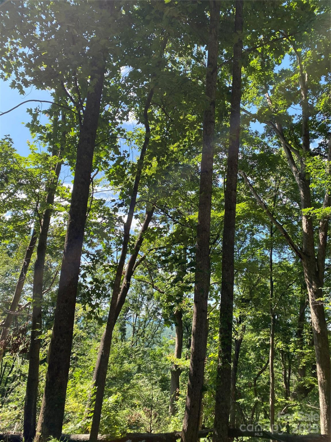 0 Winesap Boulevard #81 - Photo 5