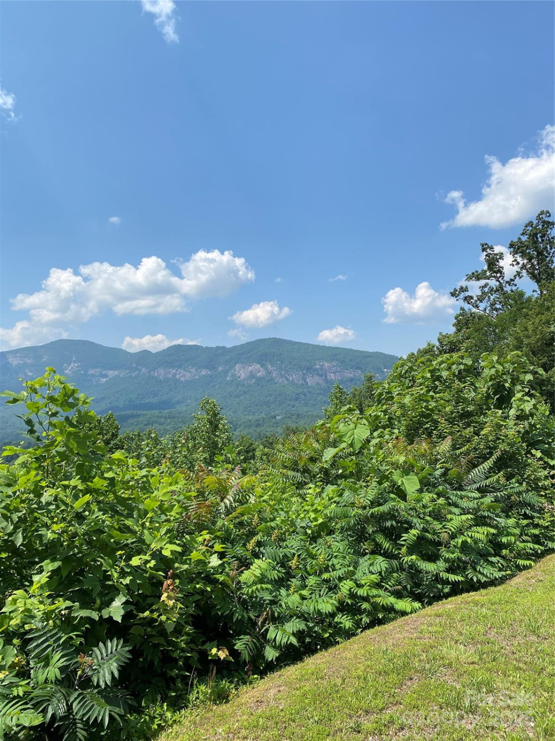 0 Winesap Boulevard #81 - Photo 7