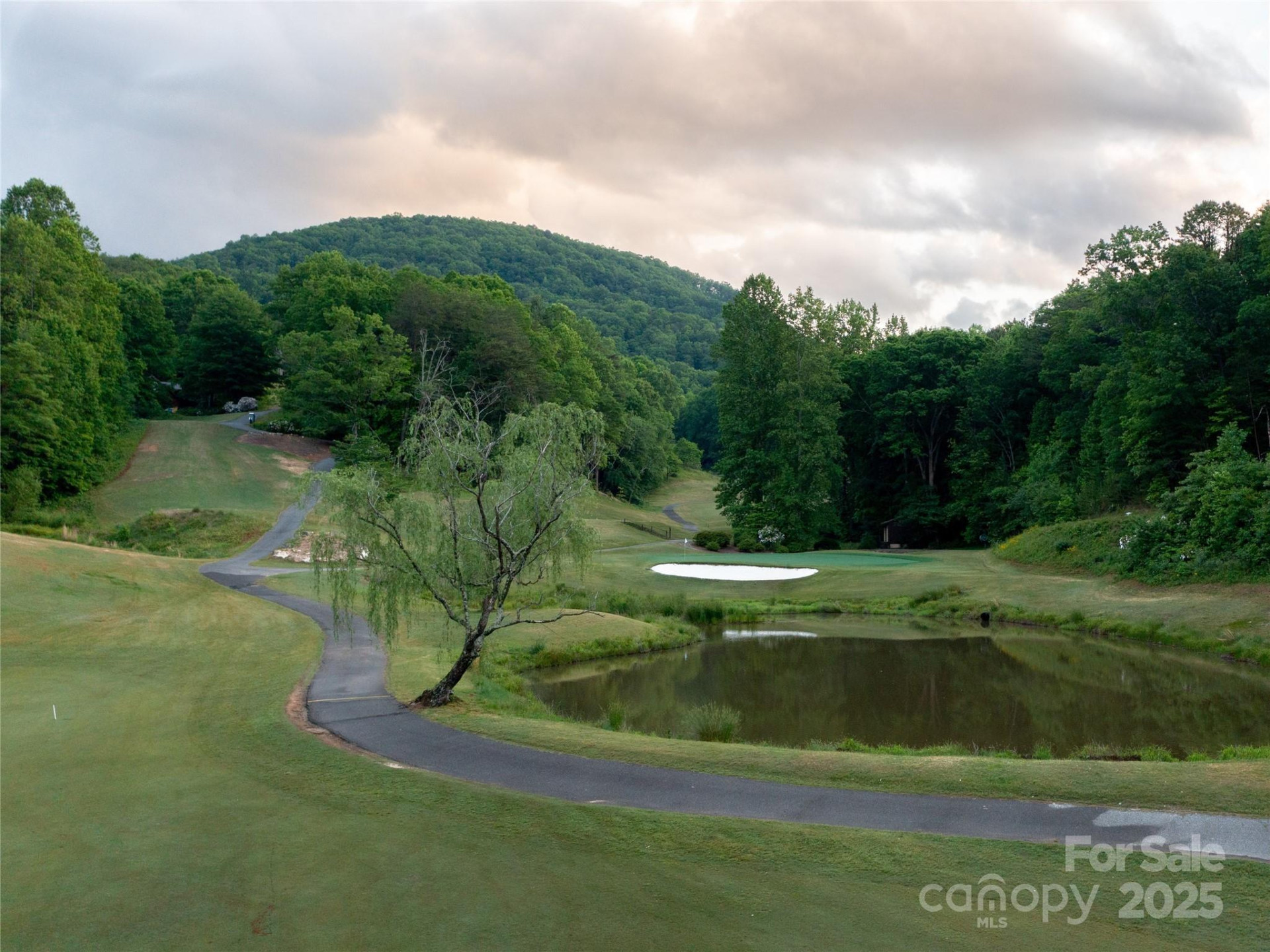 0 Winesap Boulevard #81 - Photo 9