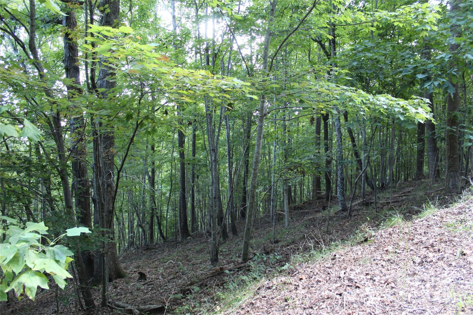 0 Azule Ridge Drive - Photo 2