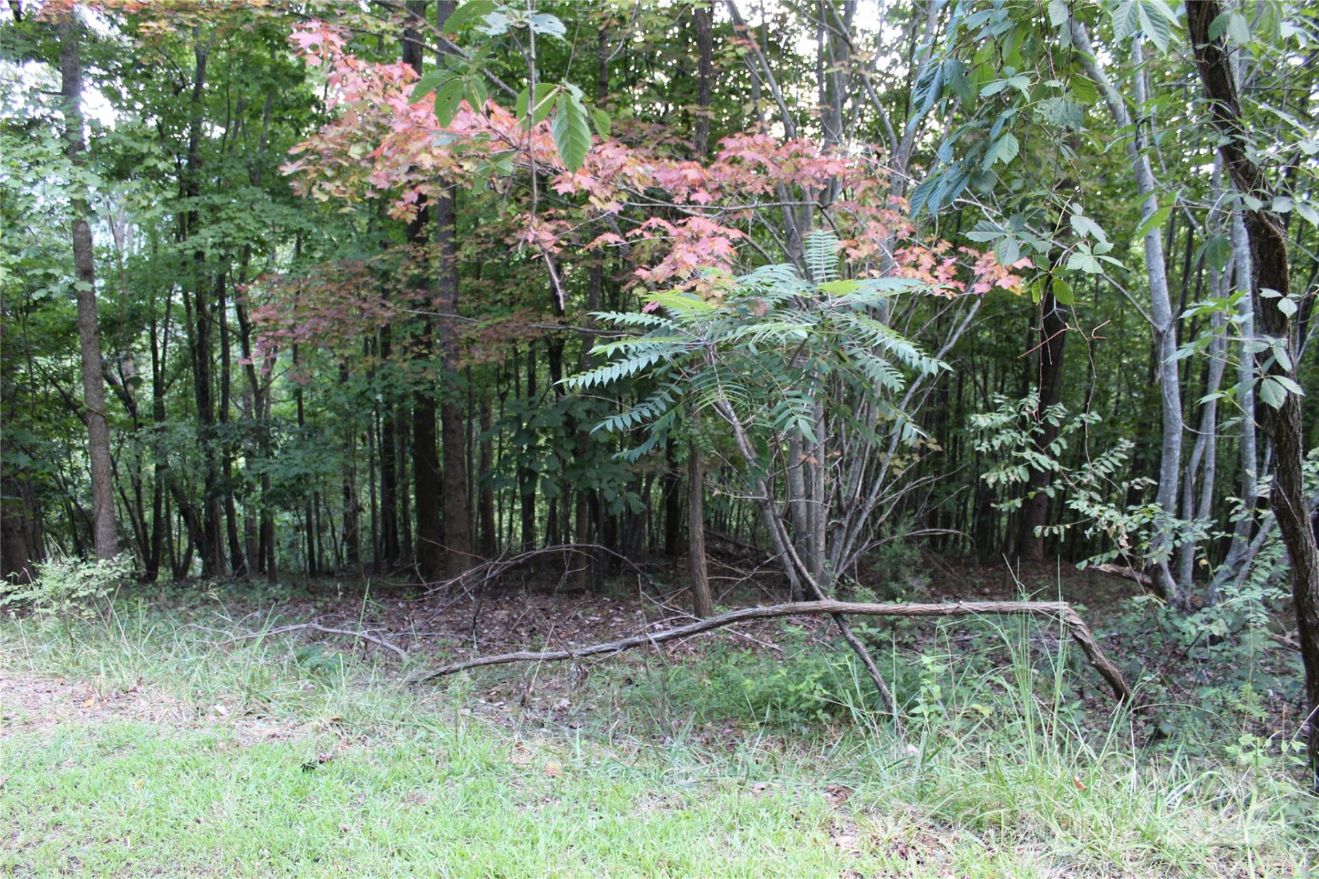 0 Azule Ridge Drive - Photo 3