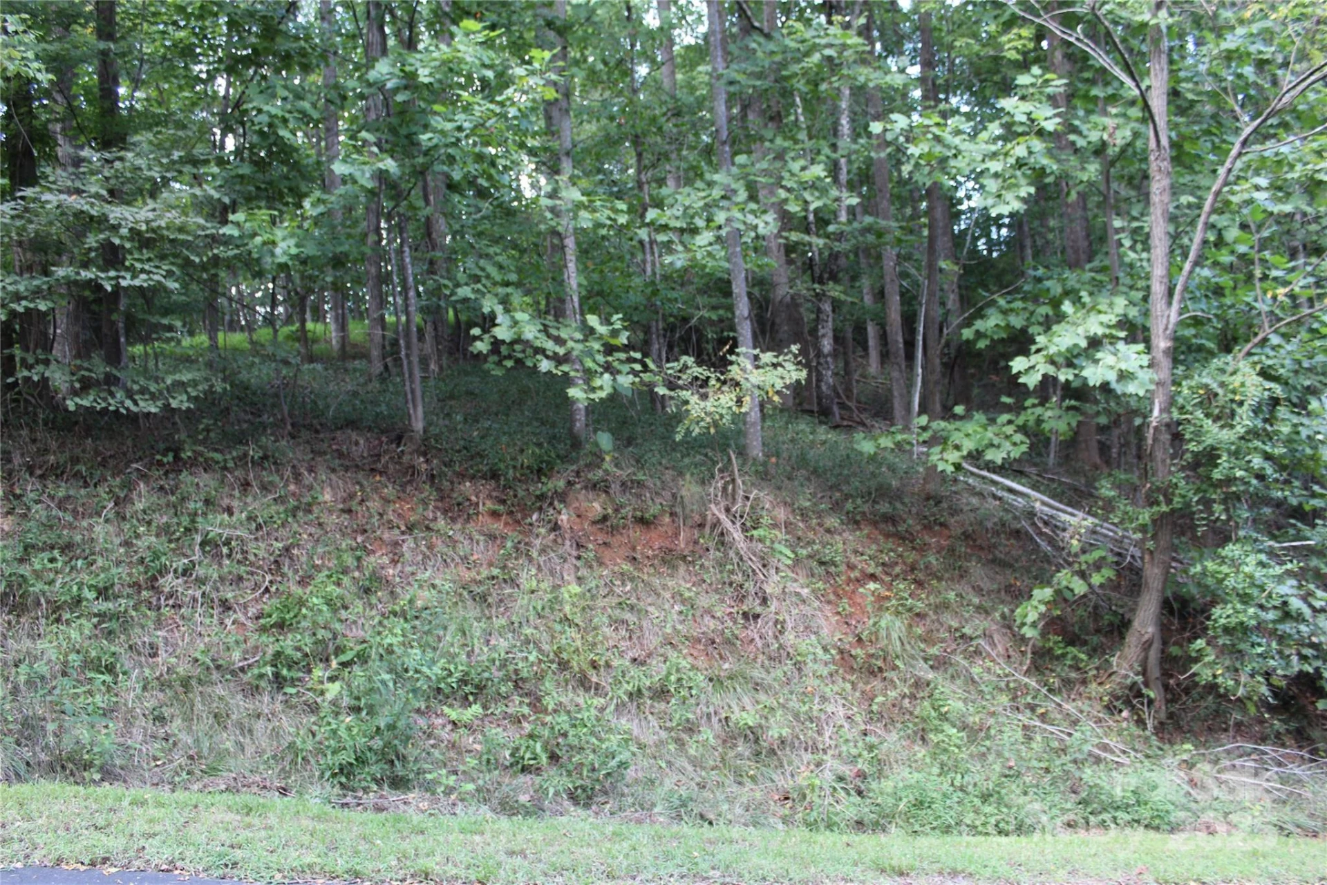 0 Azule Ridge Drive - Photo 4