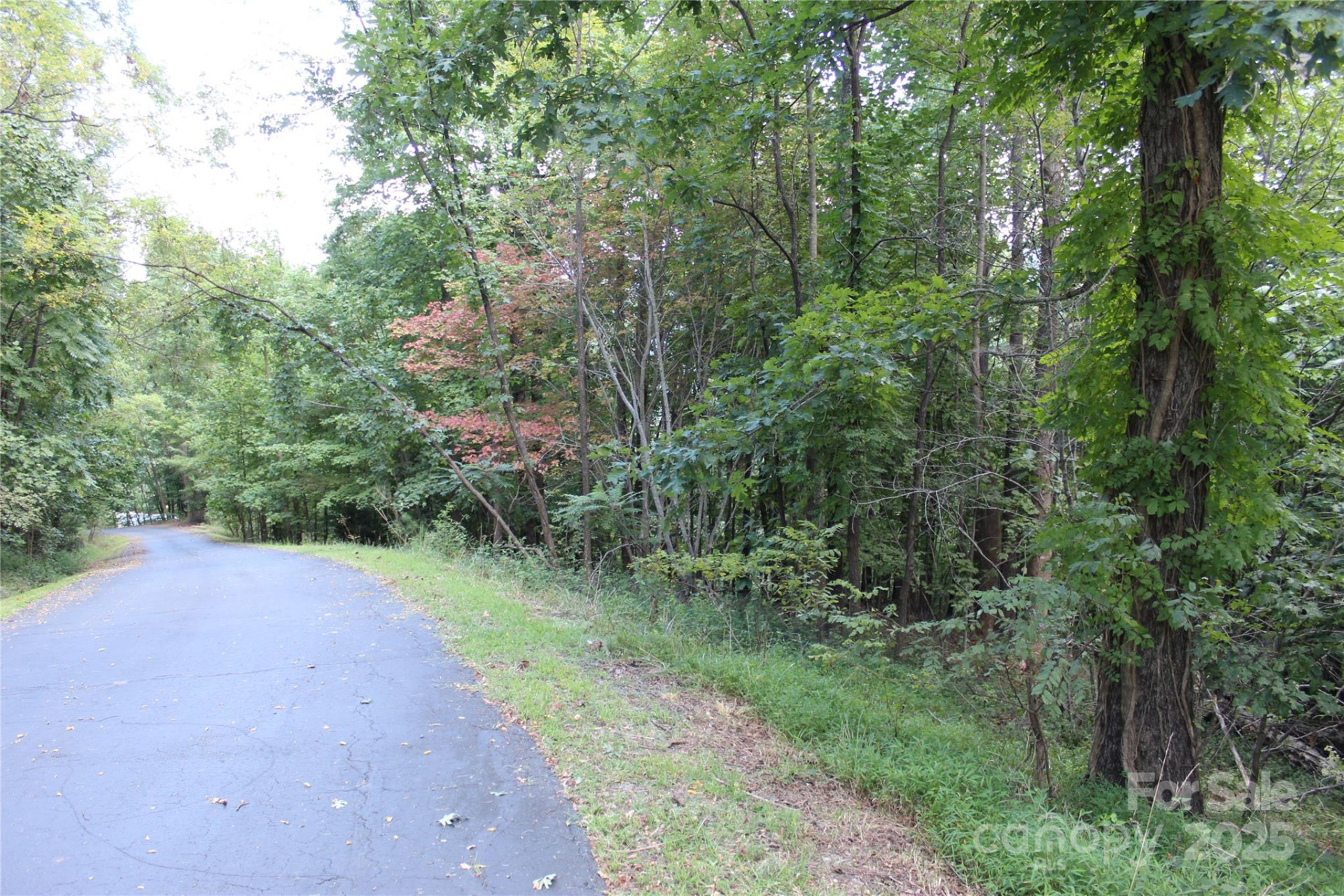 0 Azule Ridge Drive - Photo 5