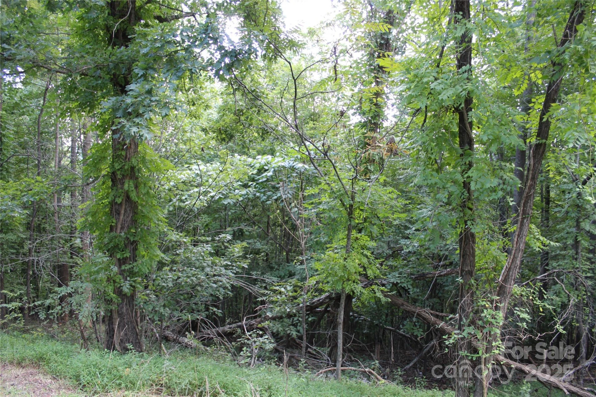0 Azule Ridge Drive - Photo 6