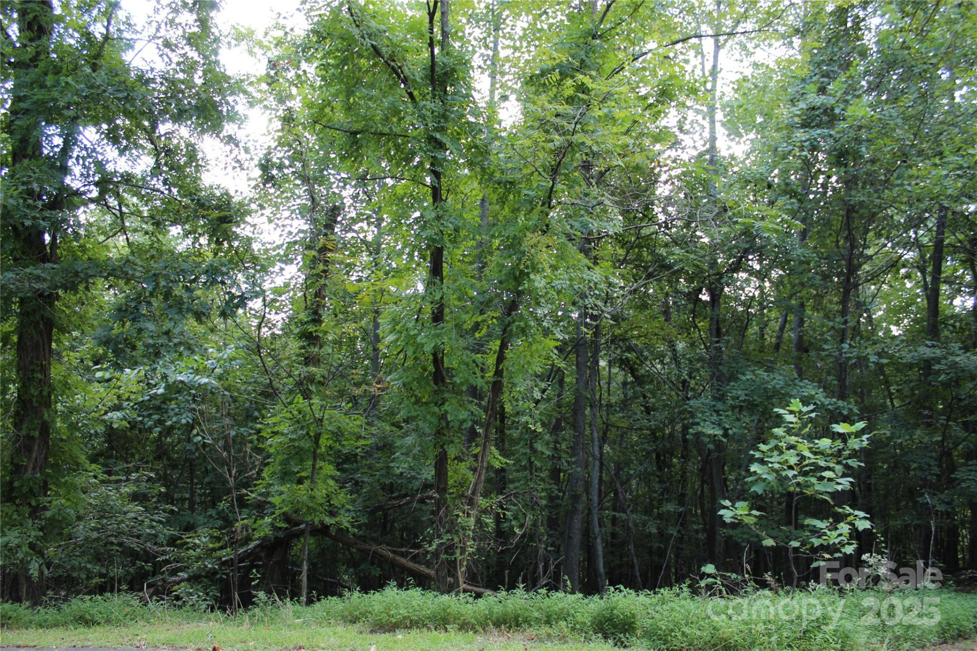 0 Azule Ridge Drive - Photo 7