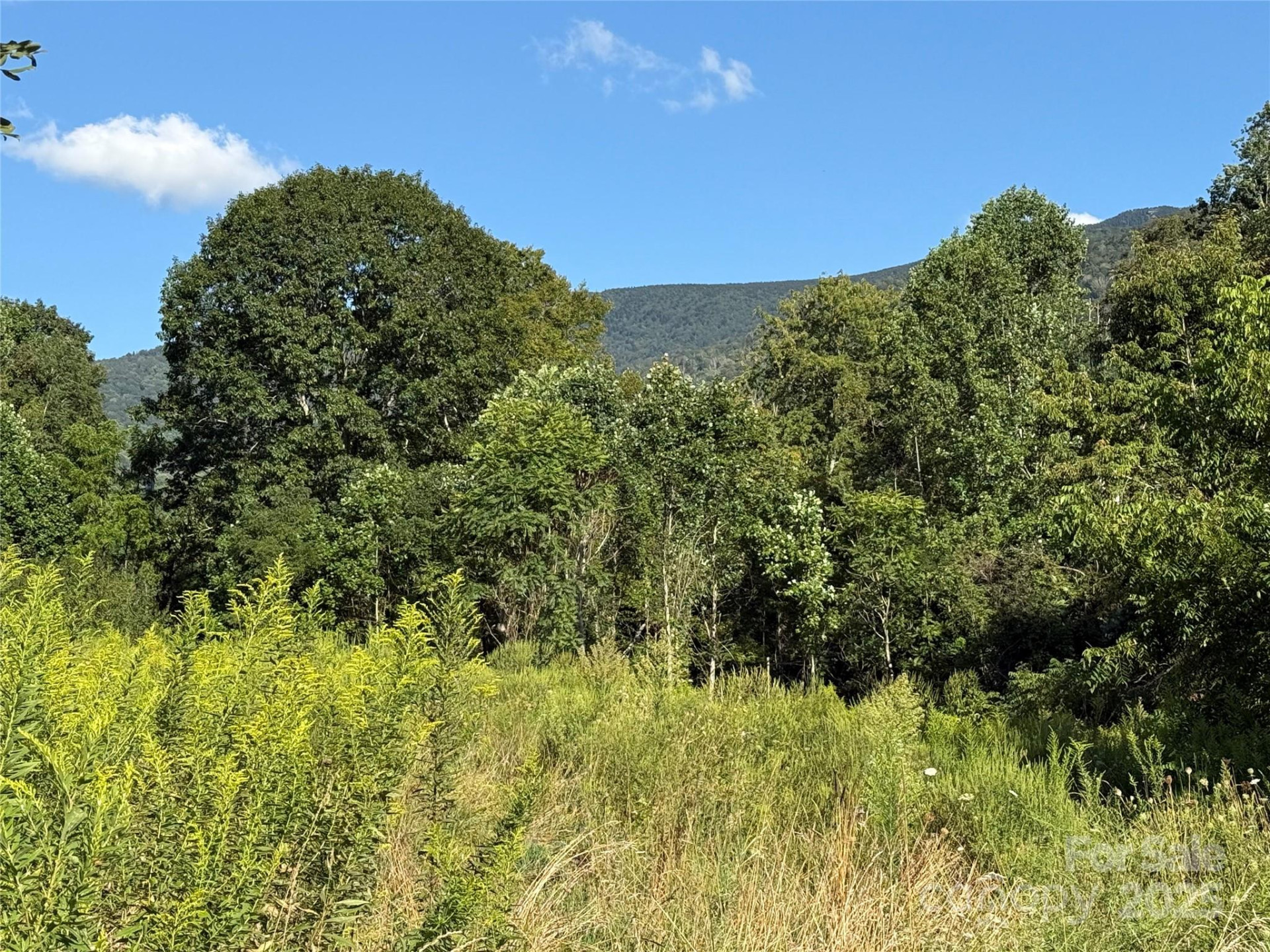 353 Perkins Road - Photo 11