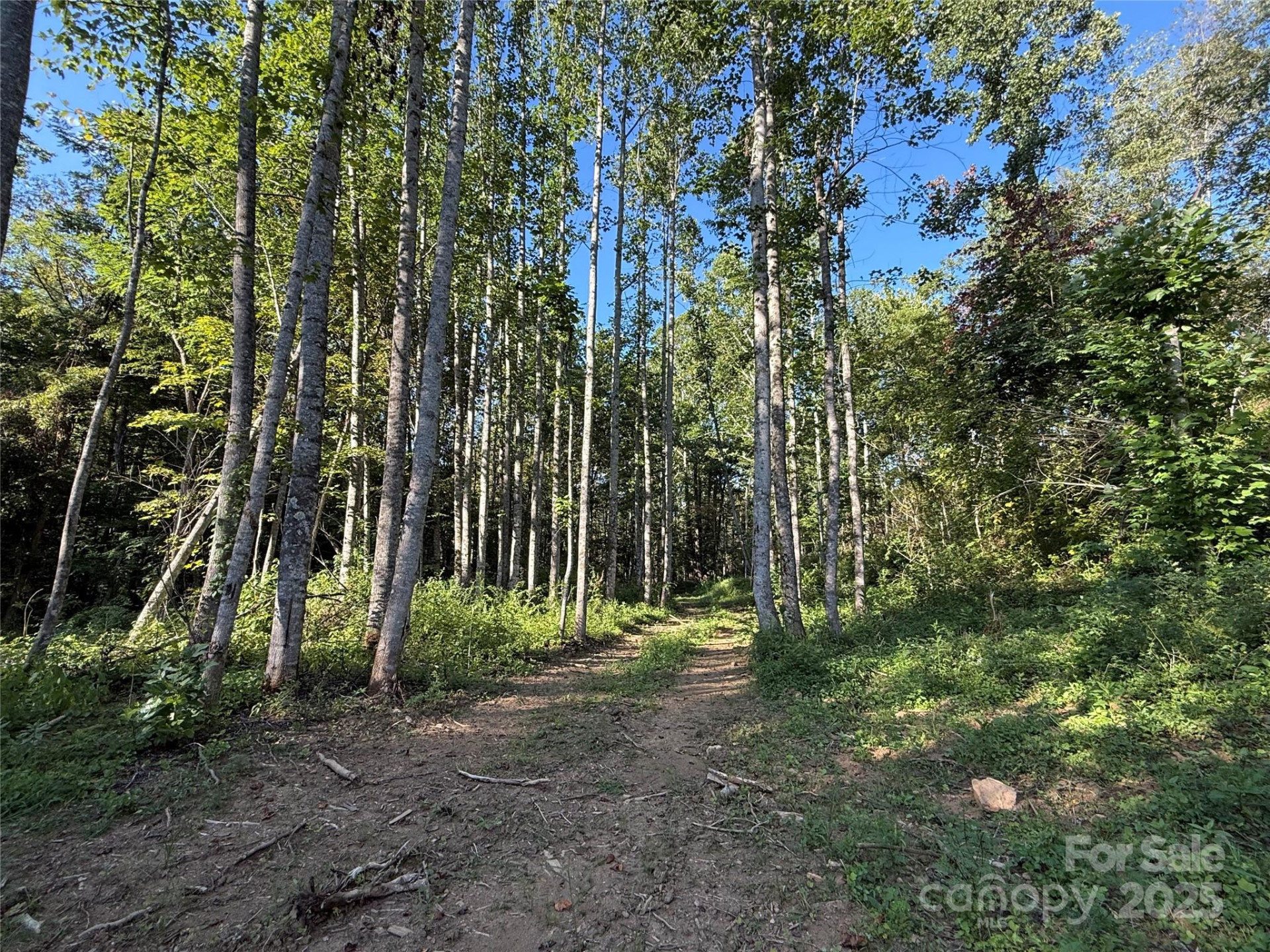353 Perkins Road - Photo 13