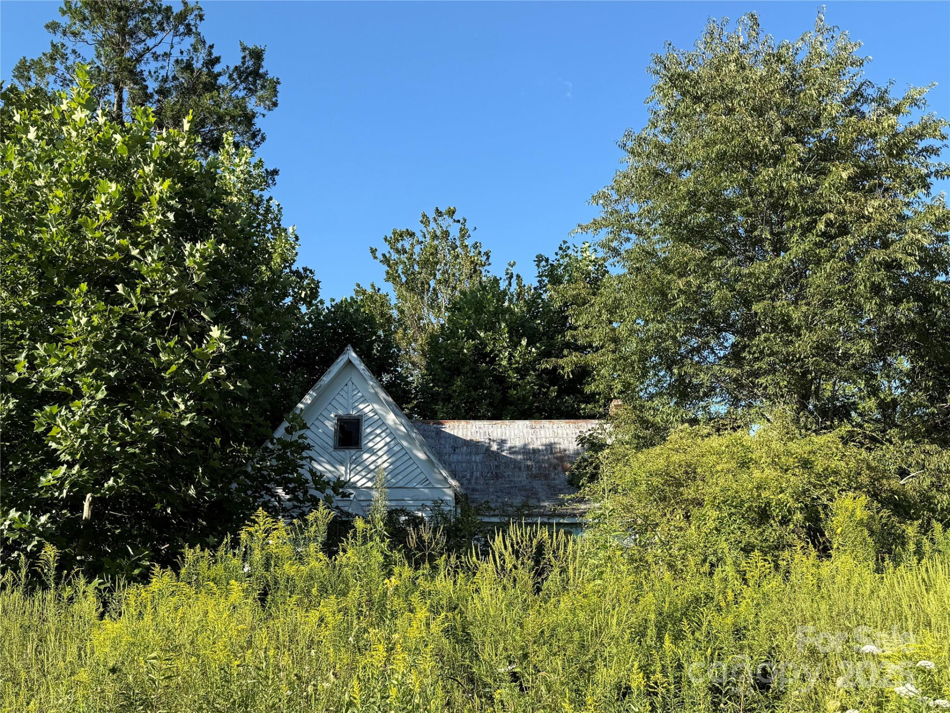 353 Perkins Road - Photo 14