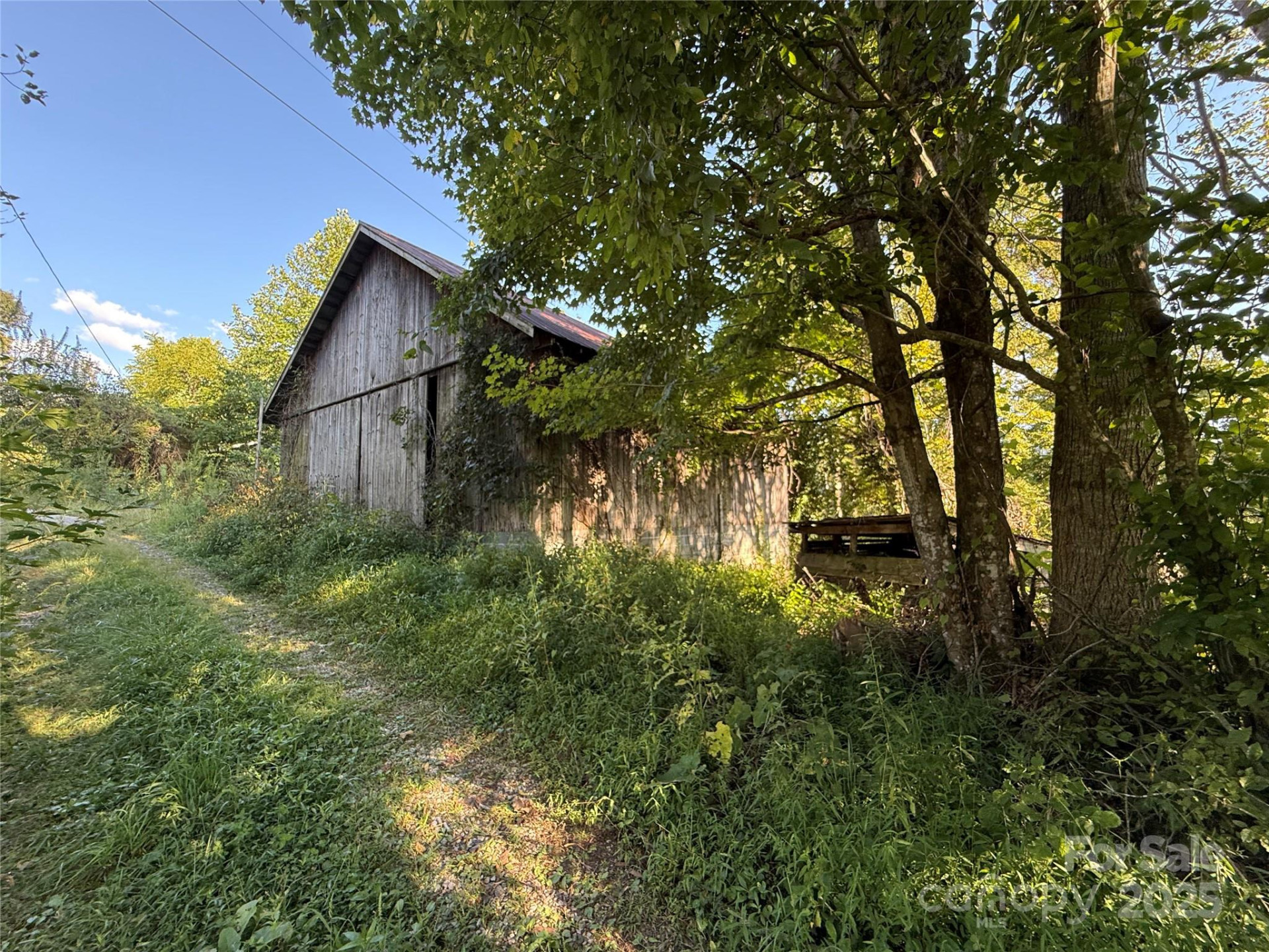 353 Perkins Road - Photo 15
