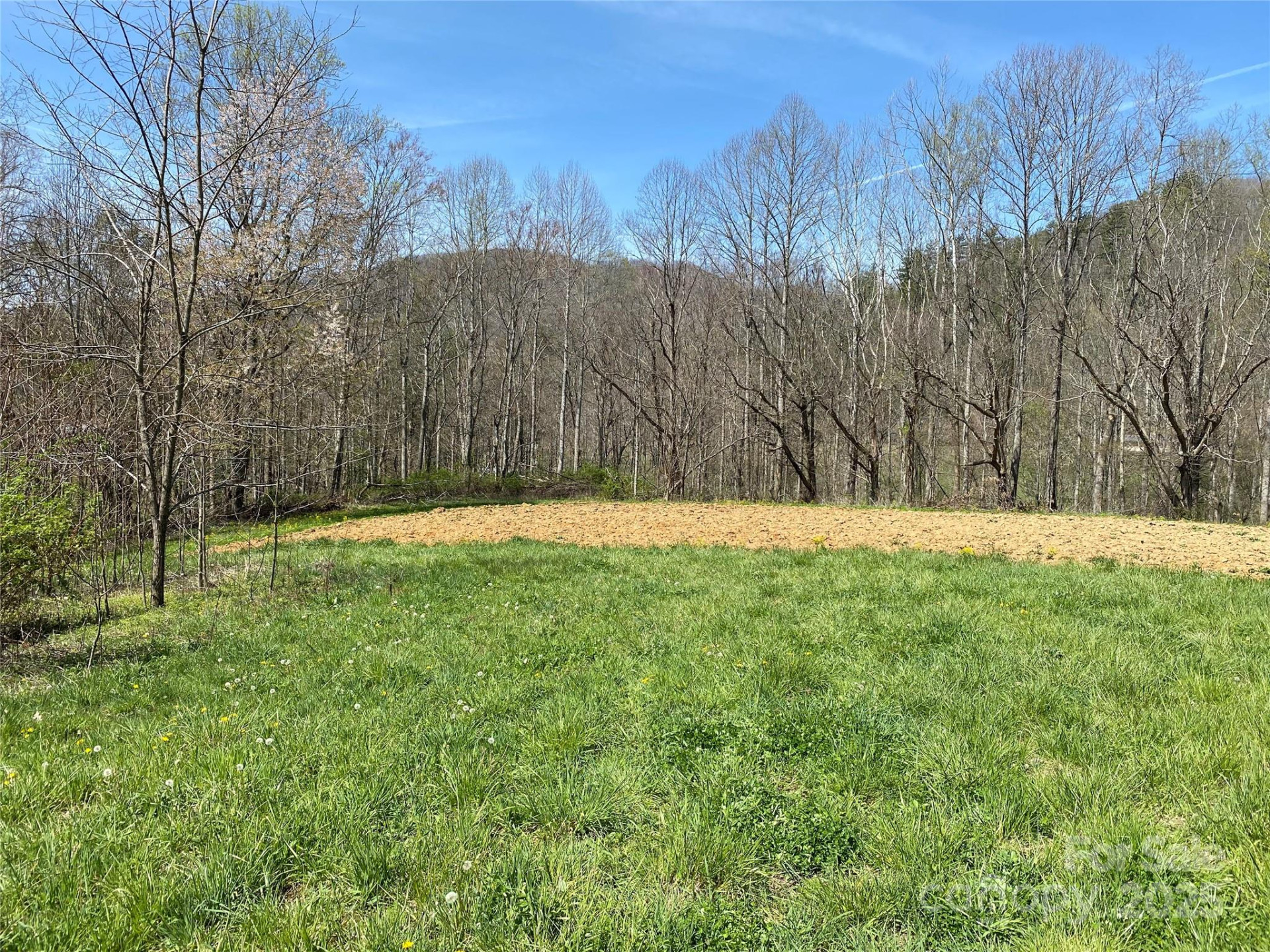 353 Perkins Road - Photo 16