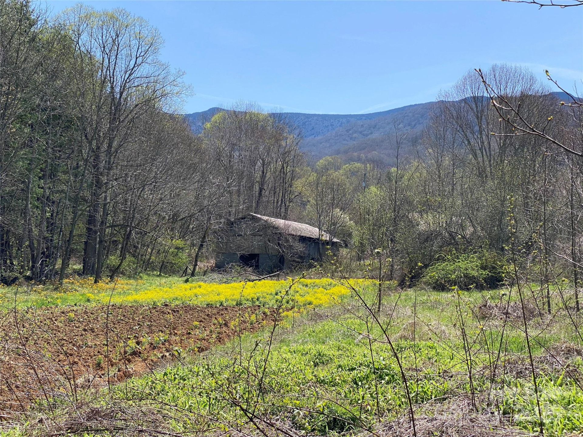 353 Perkins Road - Photo 18
