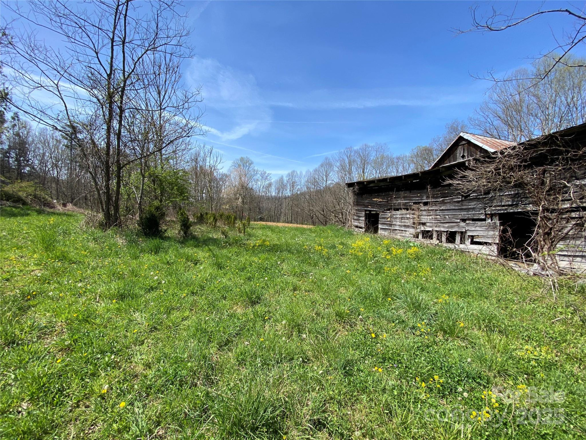 353 Perkins Road - Photo 19