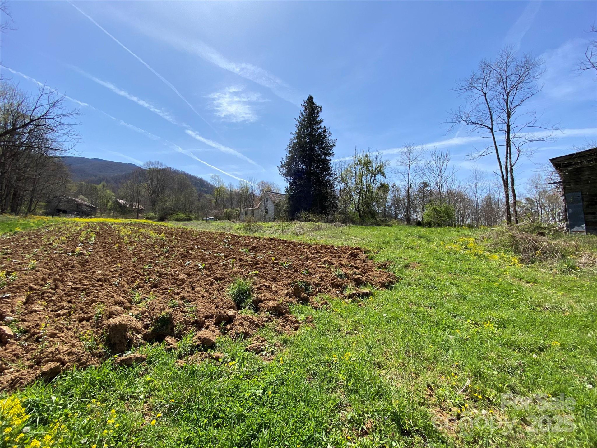353 Perkins Road - Photo 21