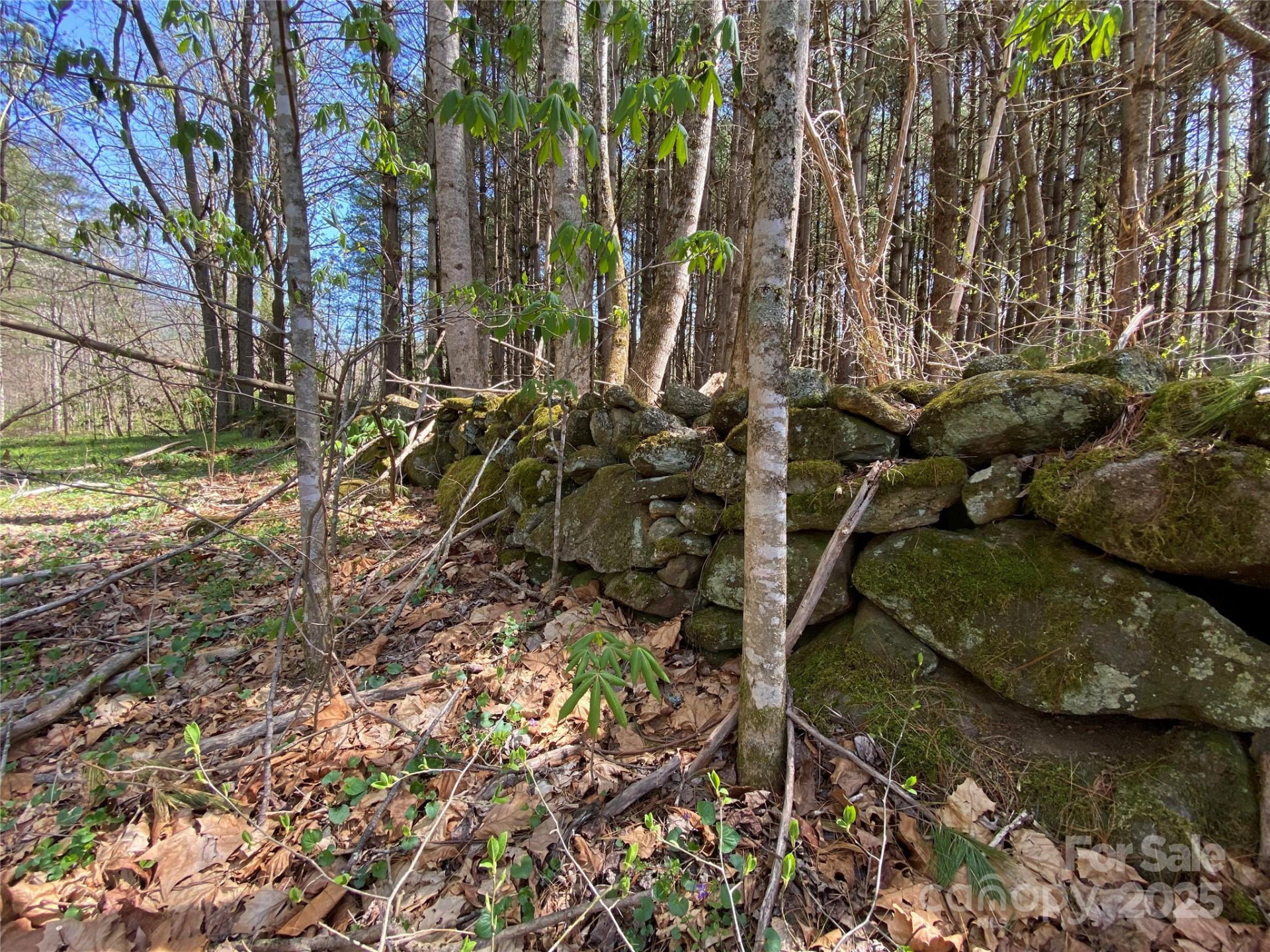 353 Perkins Road - Photo 24