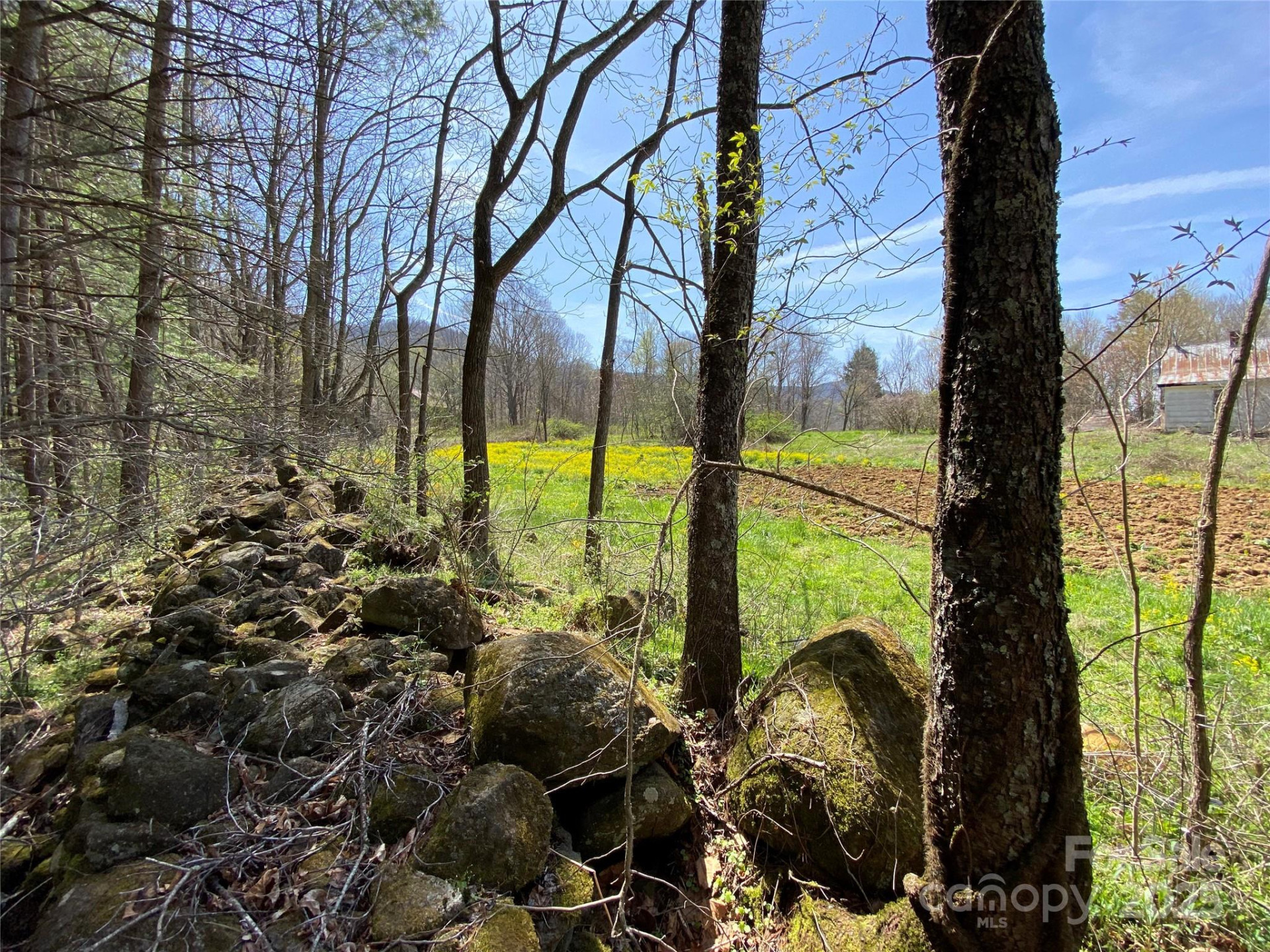 353 Perkins Road - Photo 25