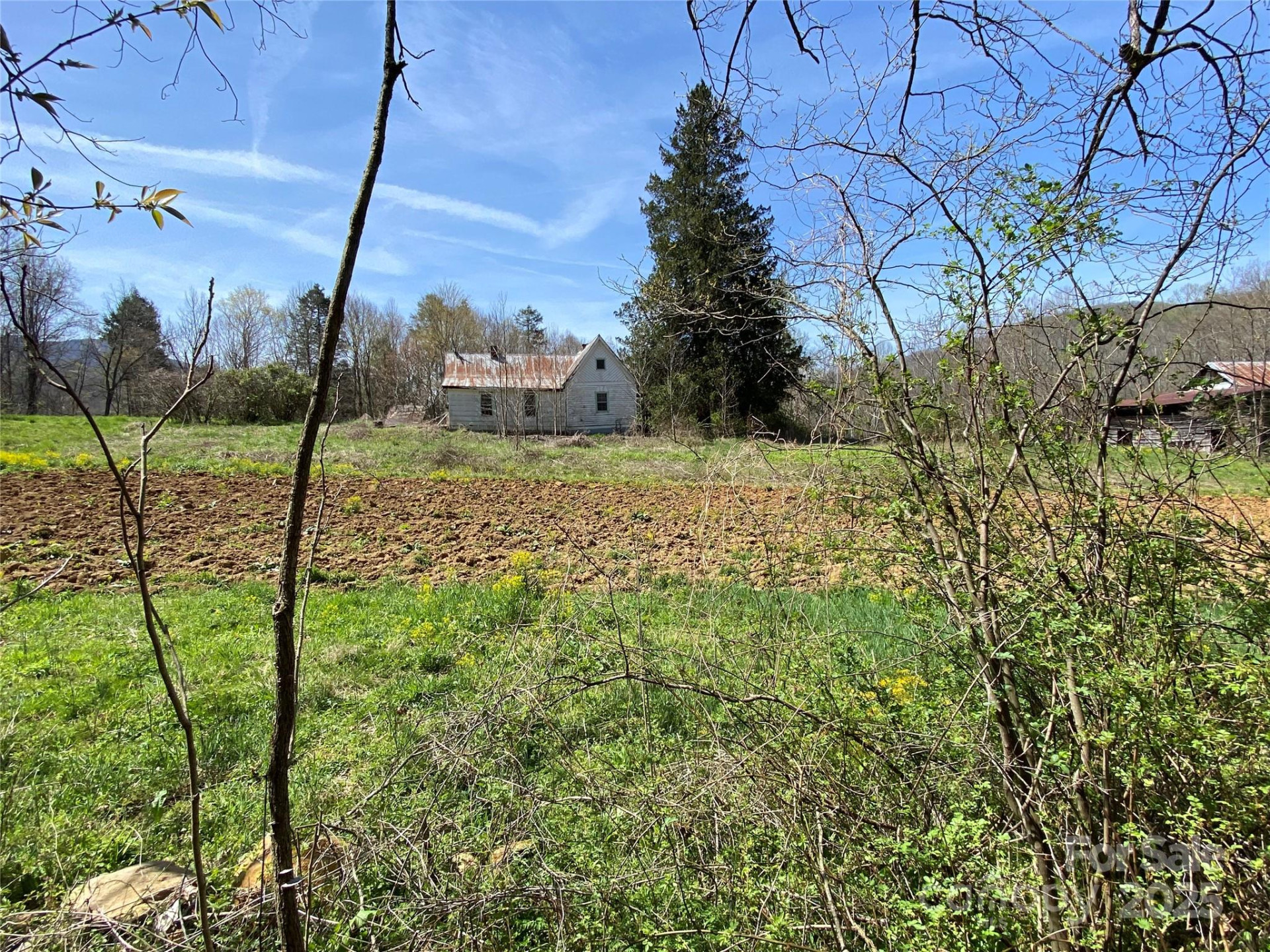 353 Perkins Road - Photo 26