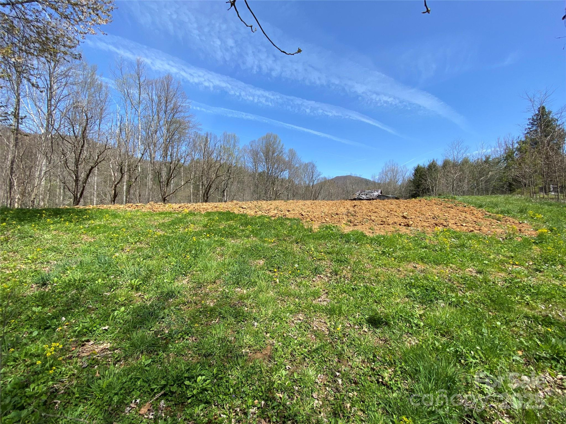 353 Perkins Road - Photo 30