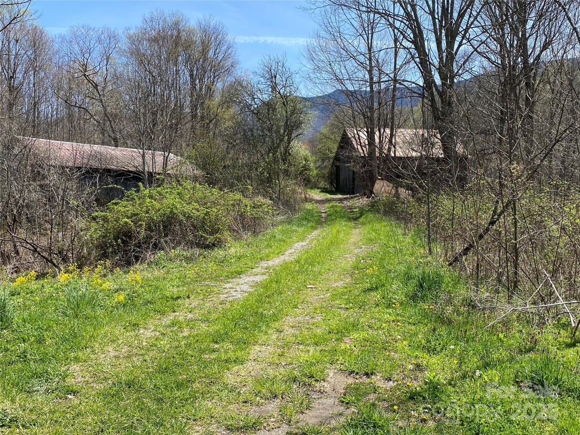 353 Perkins Road - Photo 31