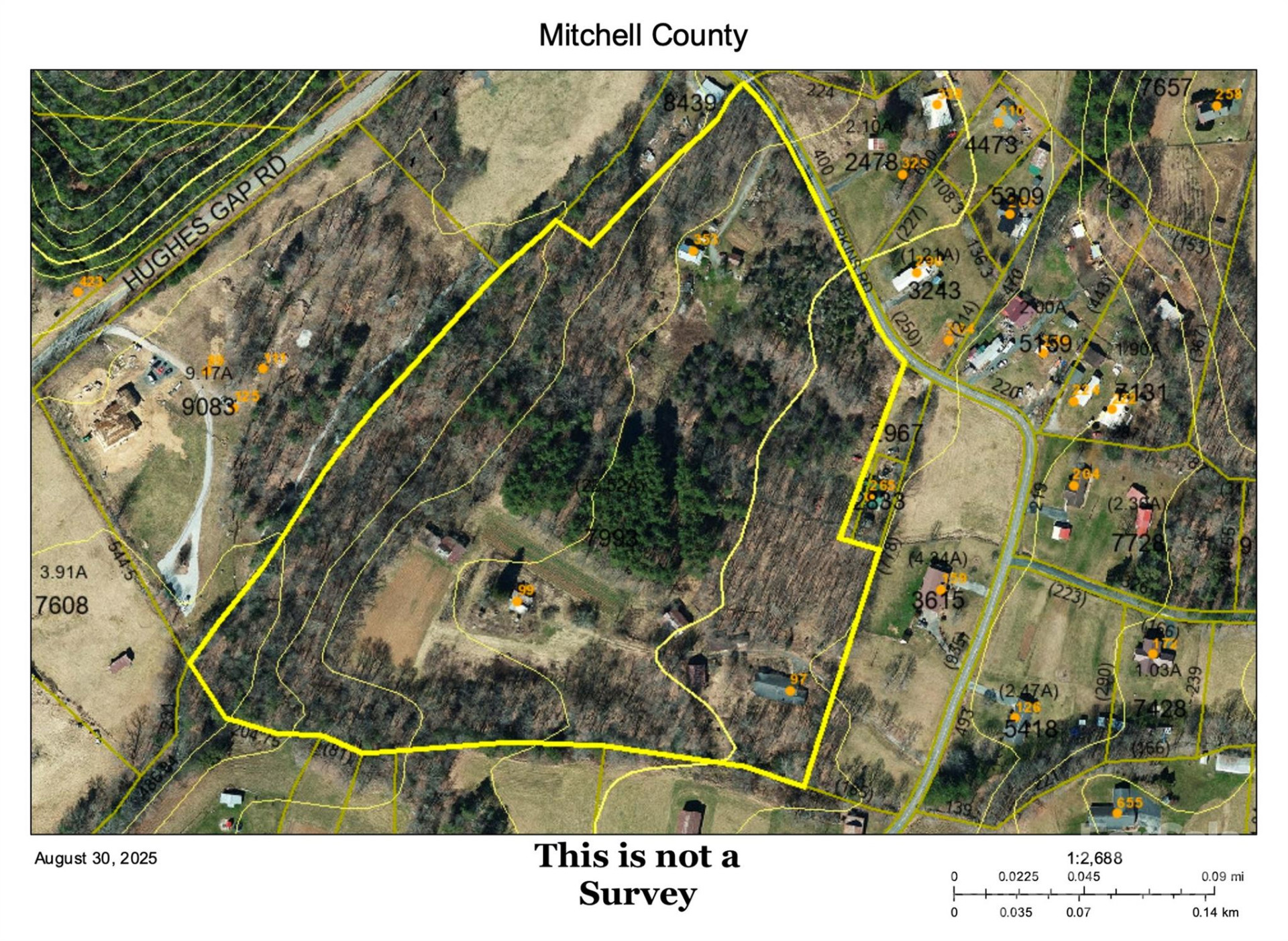 353 Perkins Road - Photo 48