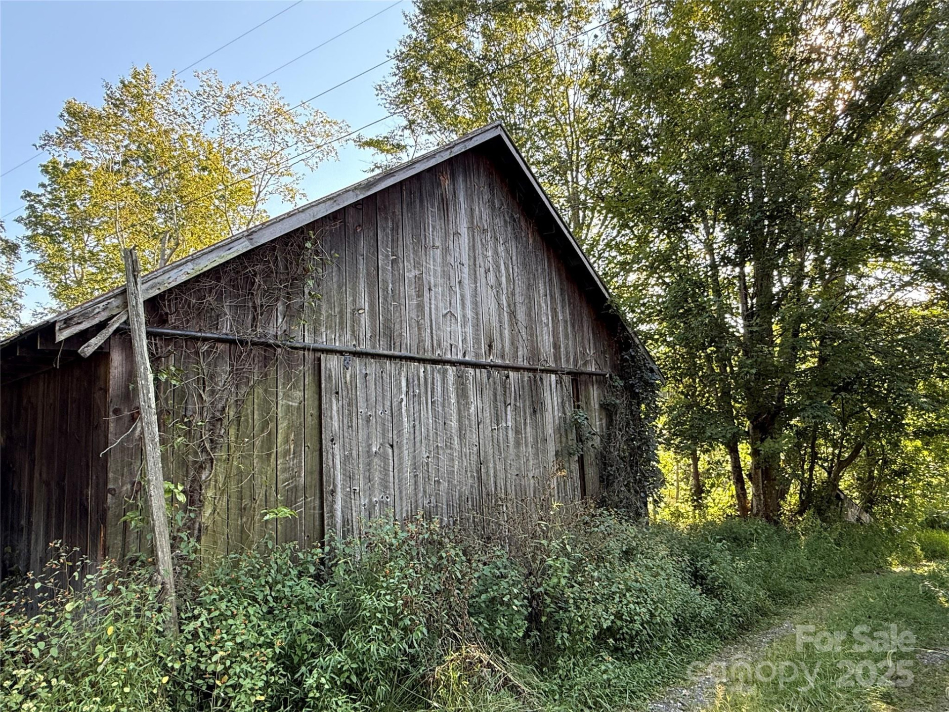 353 Perkins Road - Photo 6