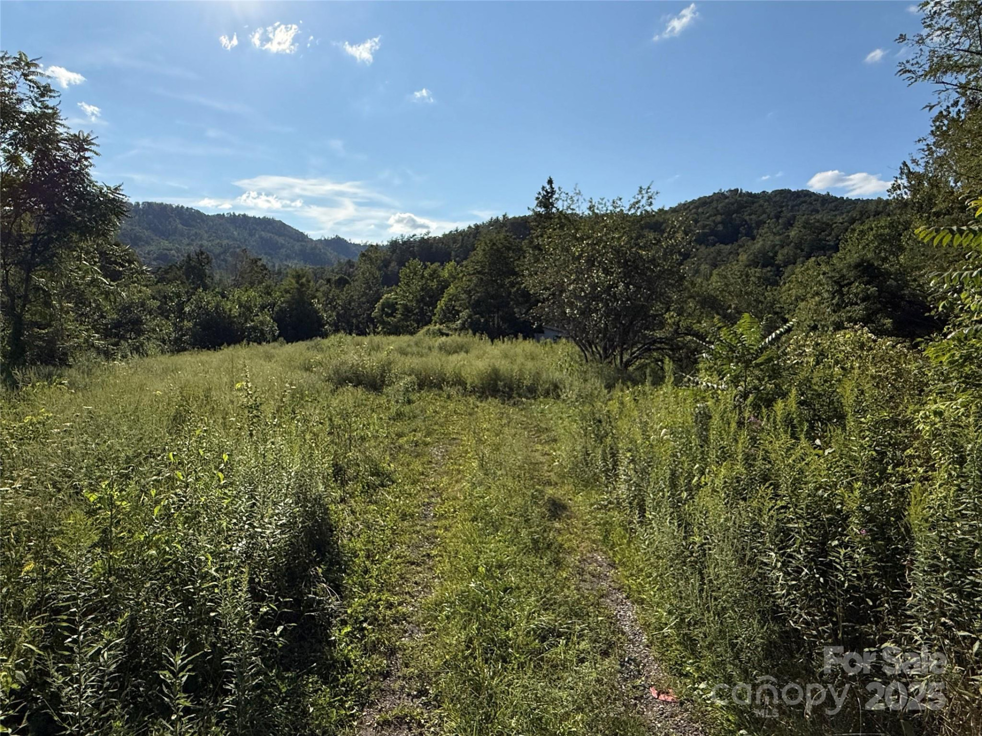 353 Perkins Road - Photo 7