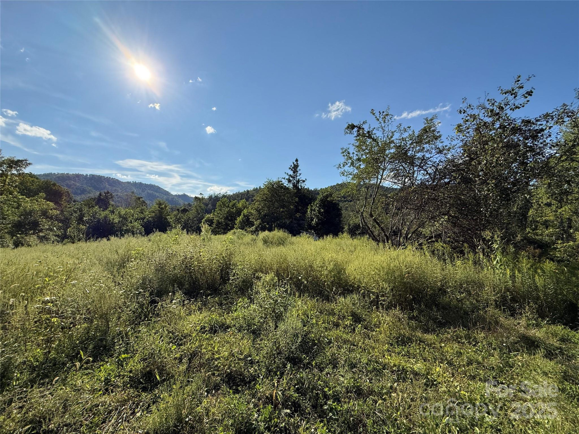 353 Perkins Road - Photo 8