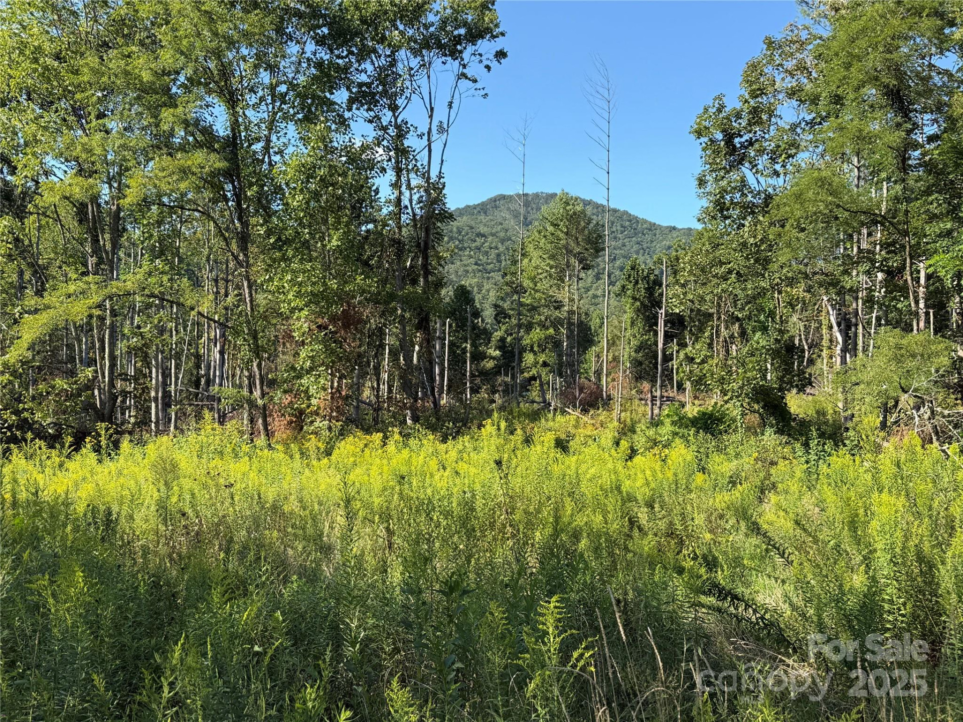 353 Perkins Road - Photo 9