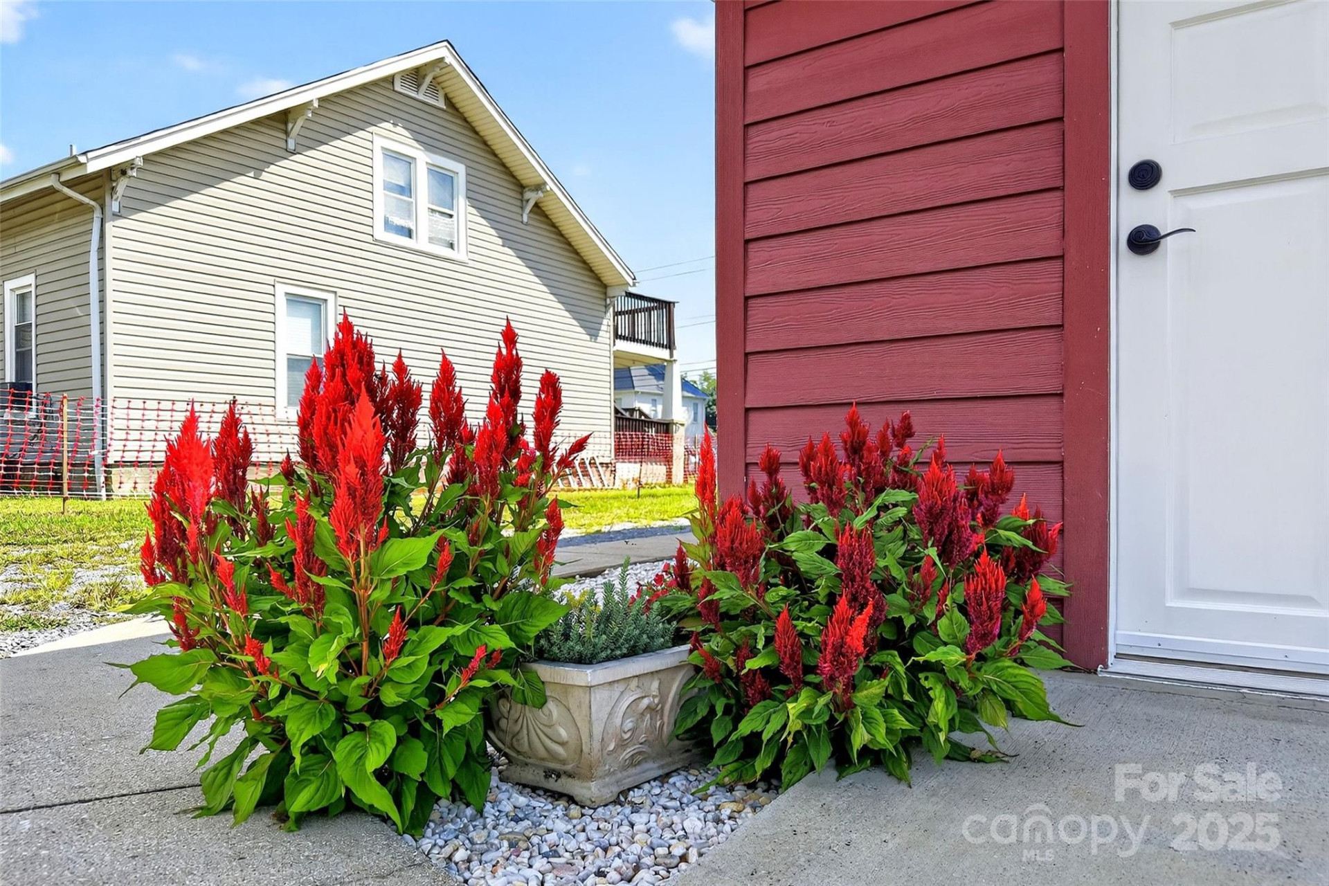 262 Catawba Avenue - Photo 7