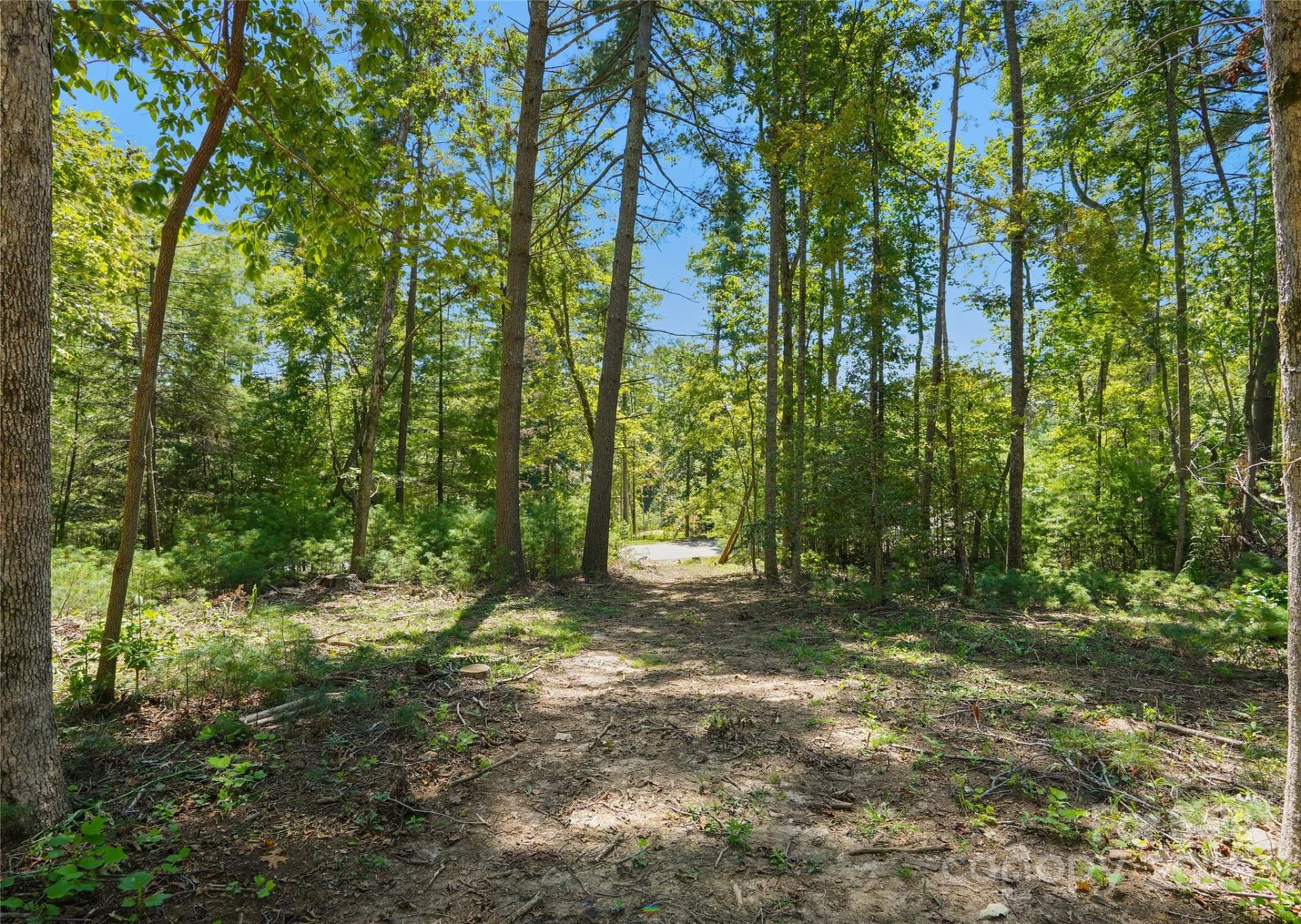 15 Mirehouse Run - Photo 2