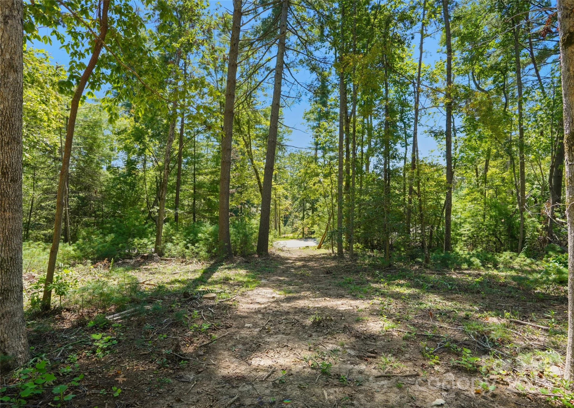 15 Mirehouse Run - Photo 2
