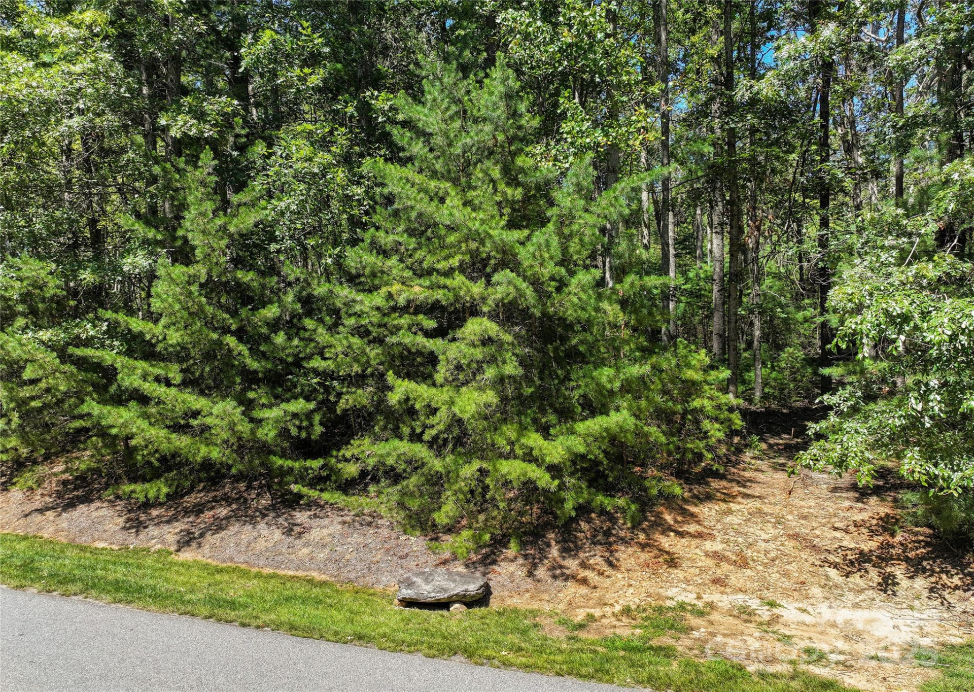 15 Mirehouse Run - Photo 3