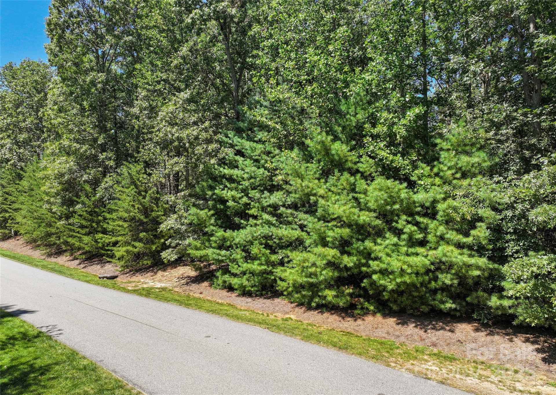 15 Mirehouse Run - Photo 4