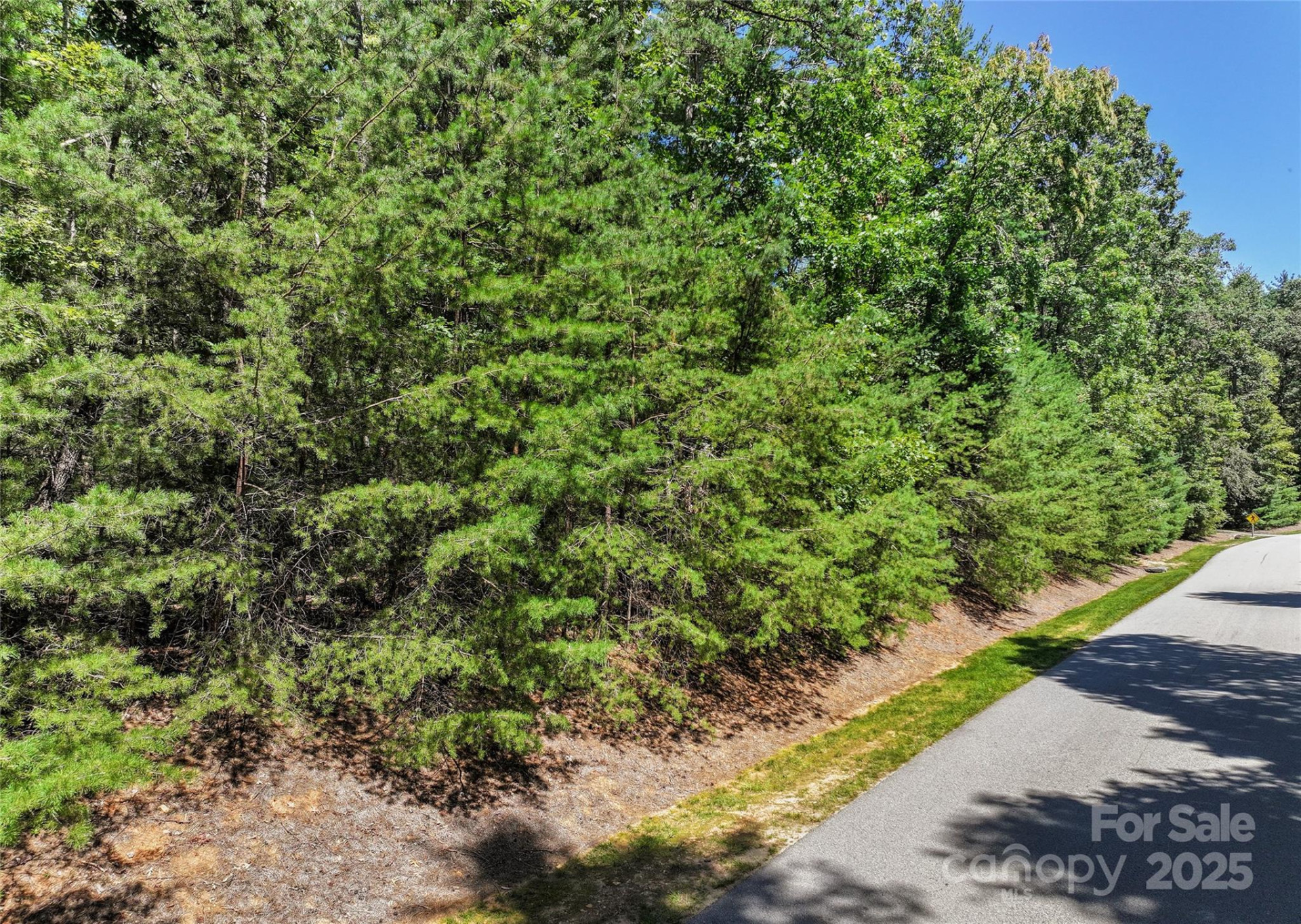 15 Mirehouse Run - Photo 5