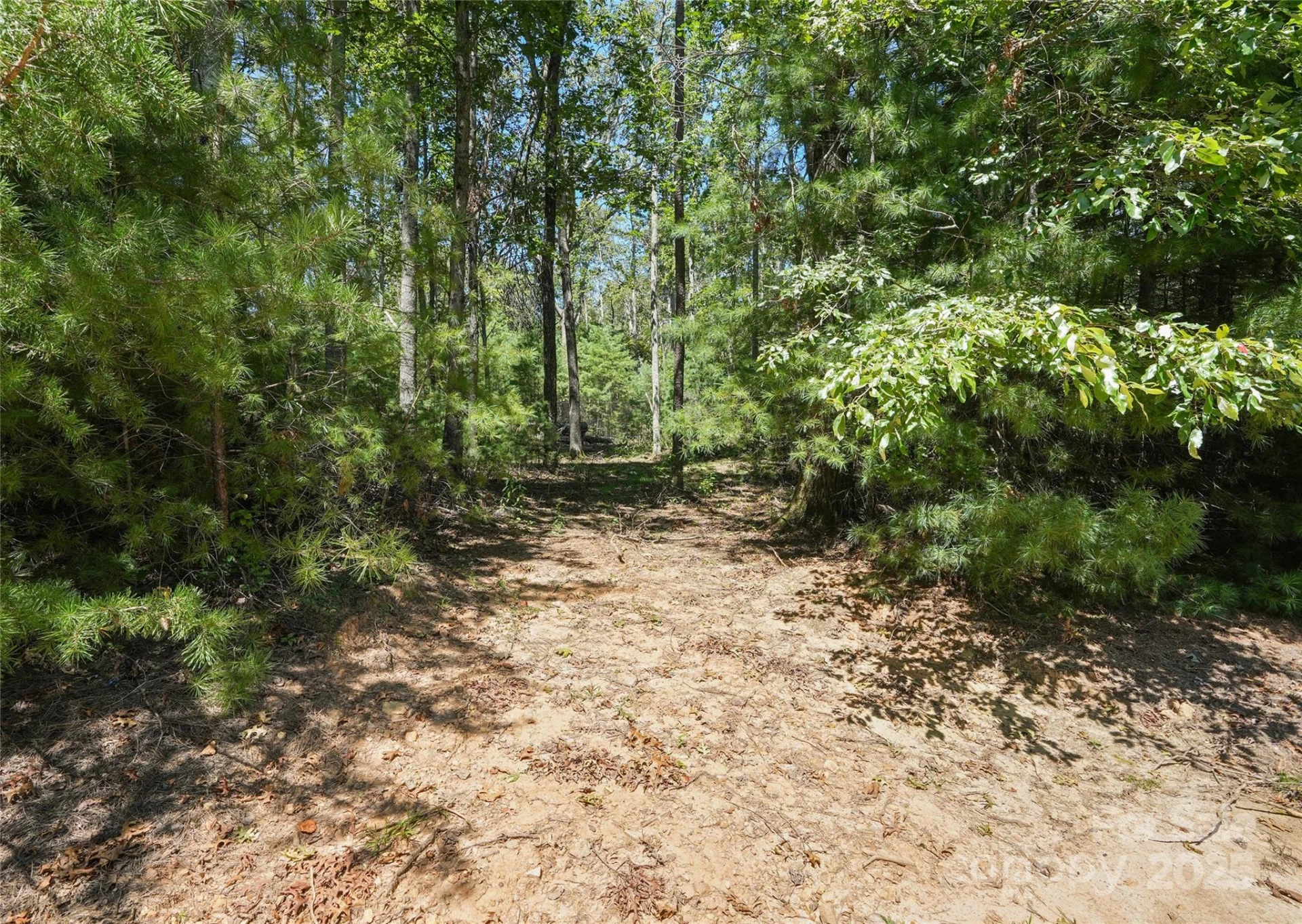 15 Mirehouse Run - Photo 6