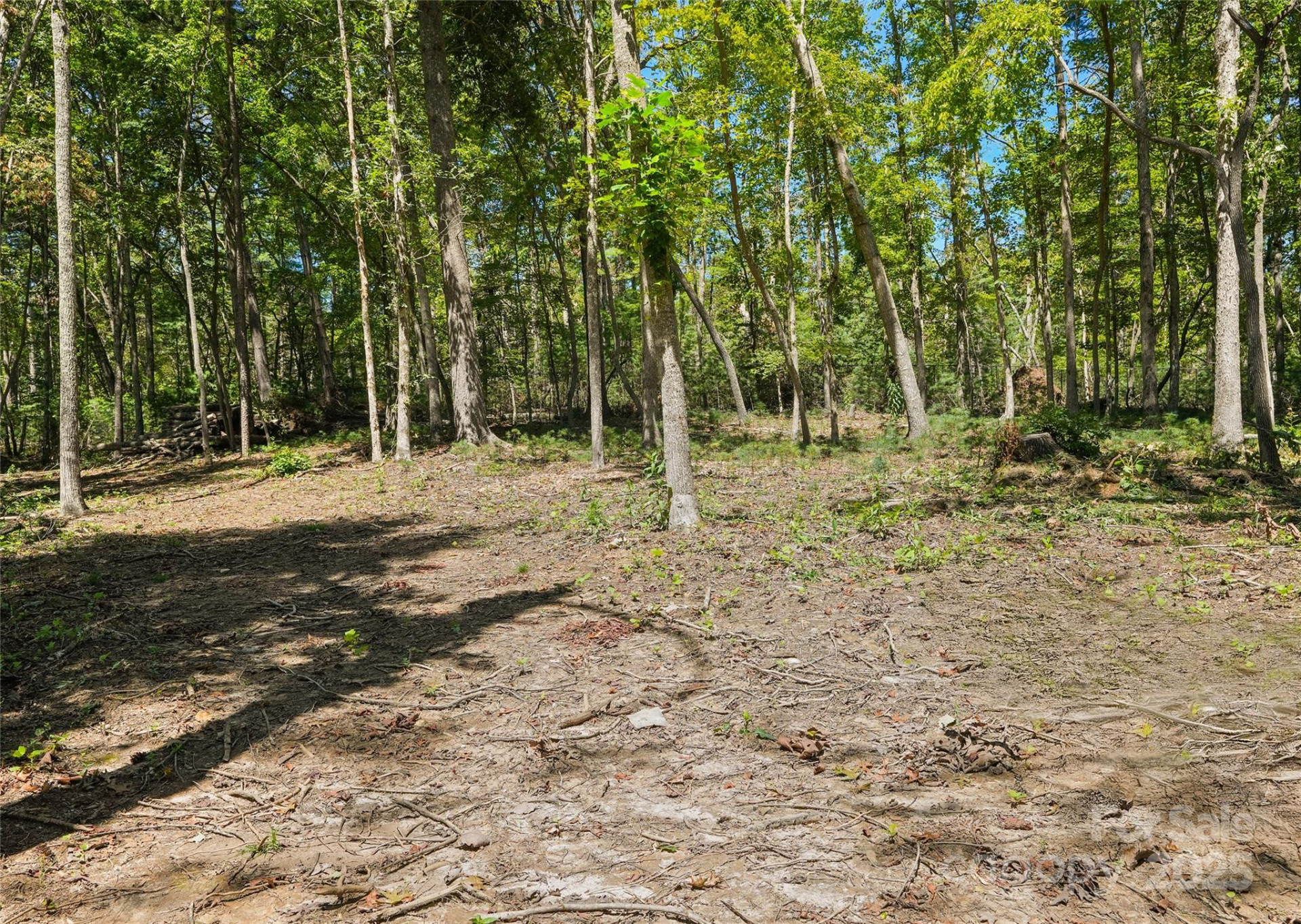 15 Mirehouse Run - Photo 7