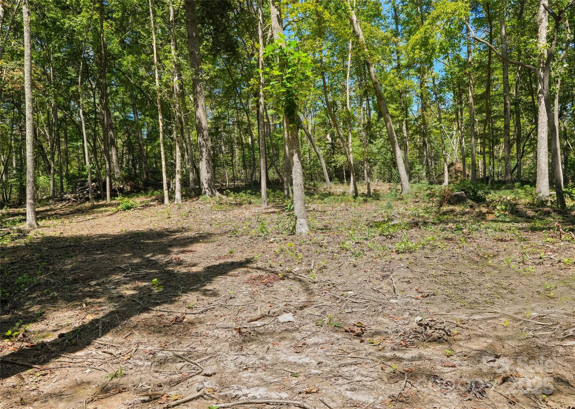 15 Mirehouse Run - Photo 7
