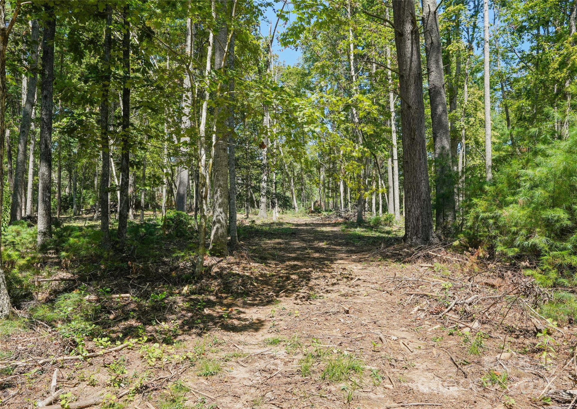 15 Mirehouse Run - Photo 8