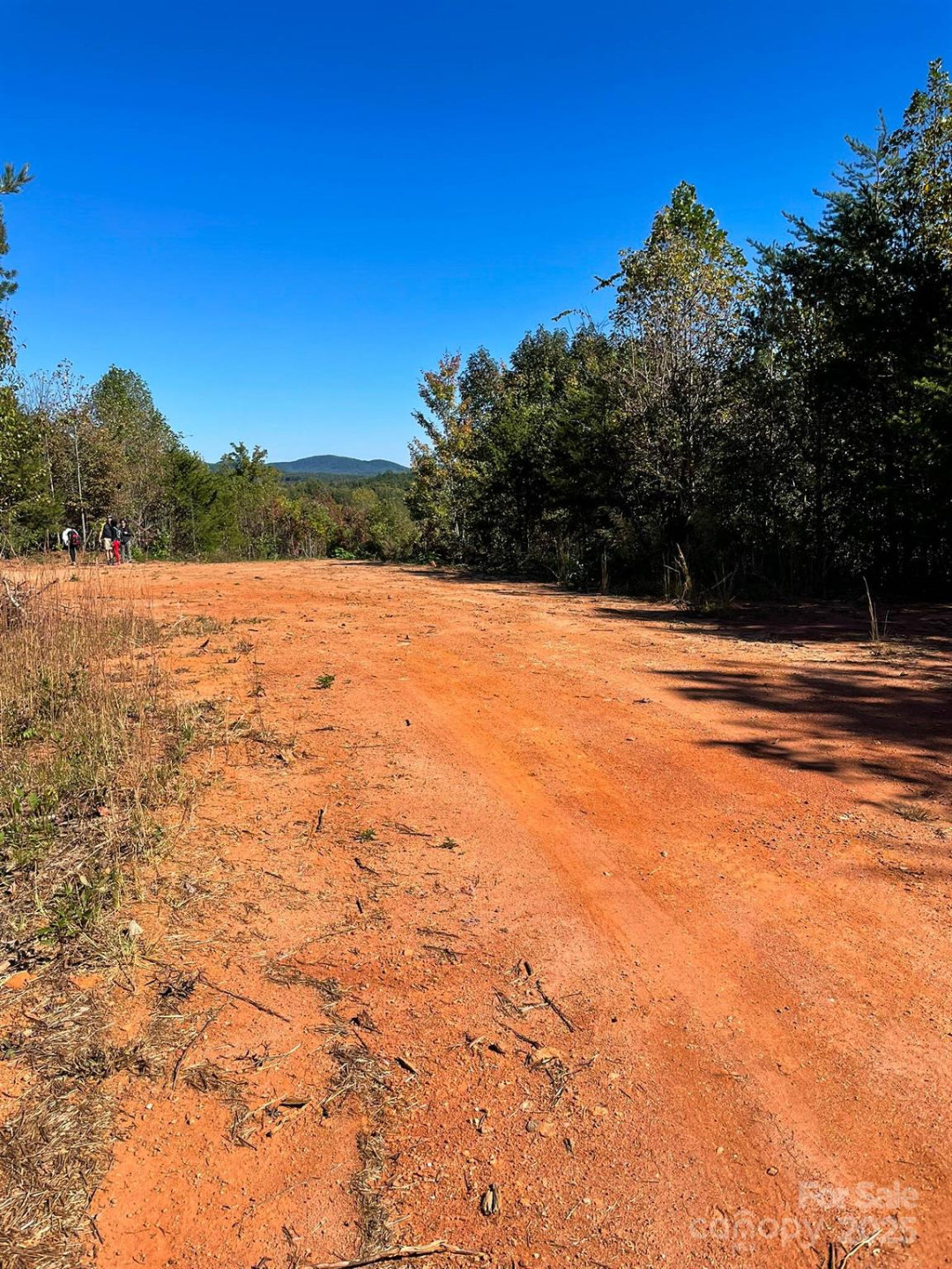 Lot 1 Aurora Ridge #1 - Photo 11