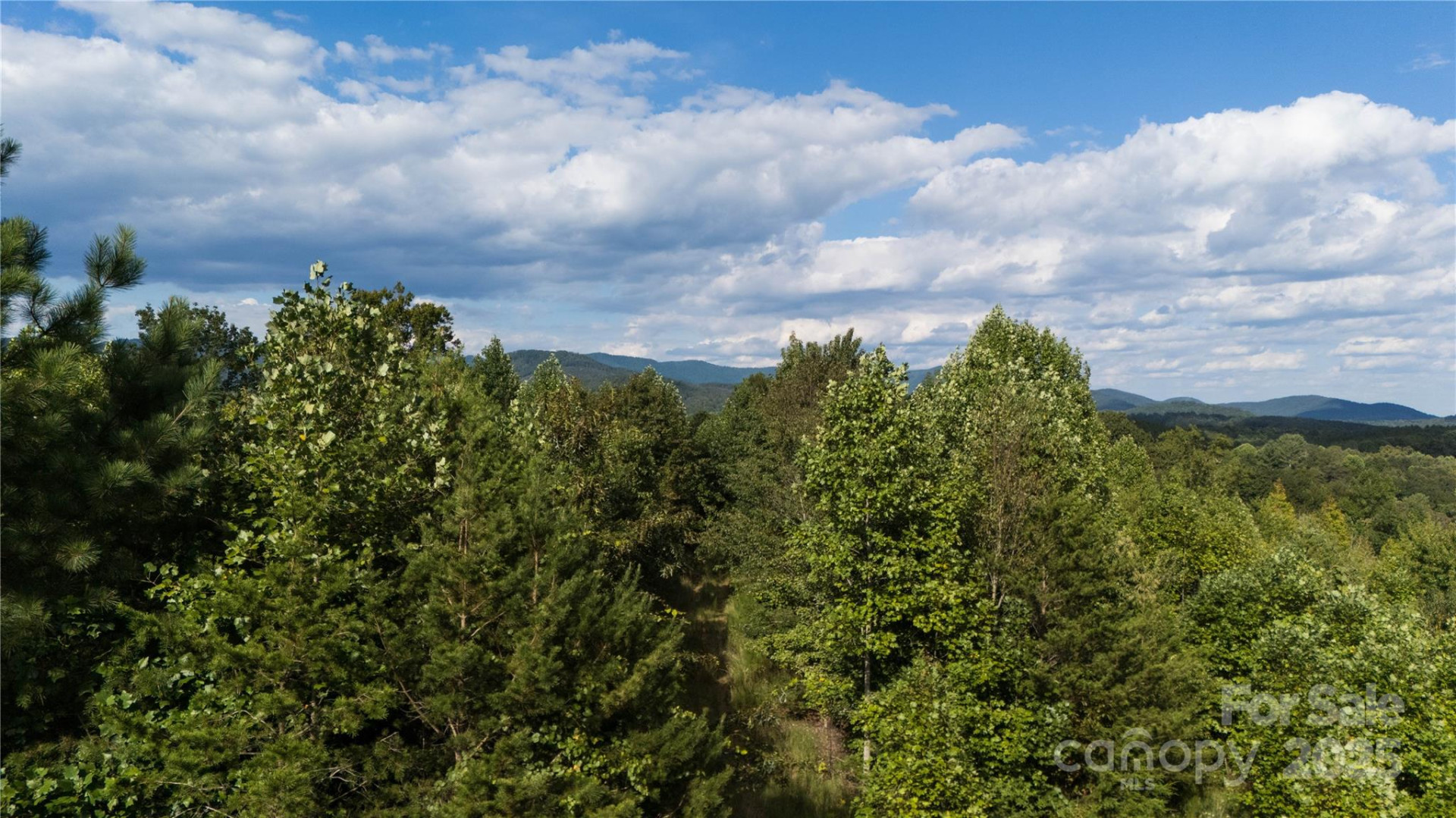 Lot 1 Aurora Ridge #1 - Photo 8