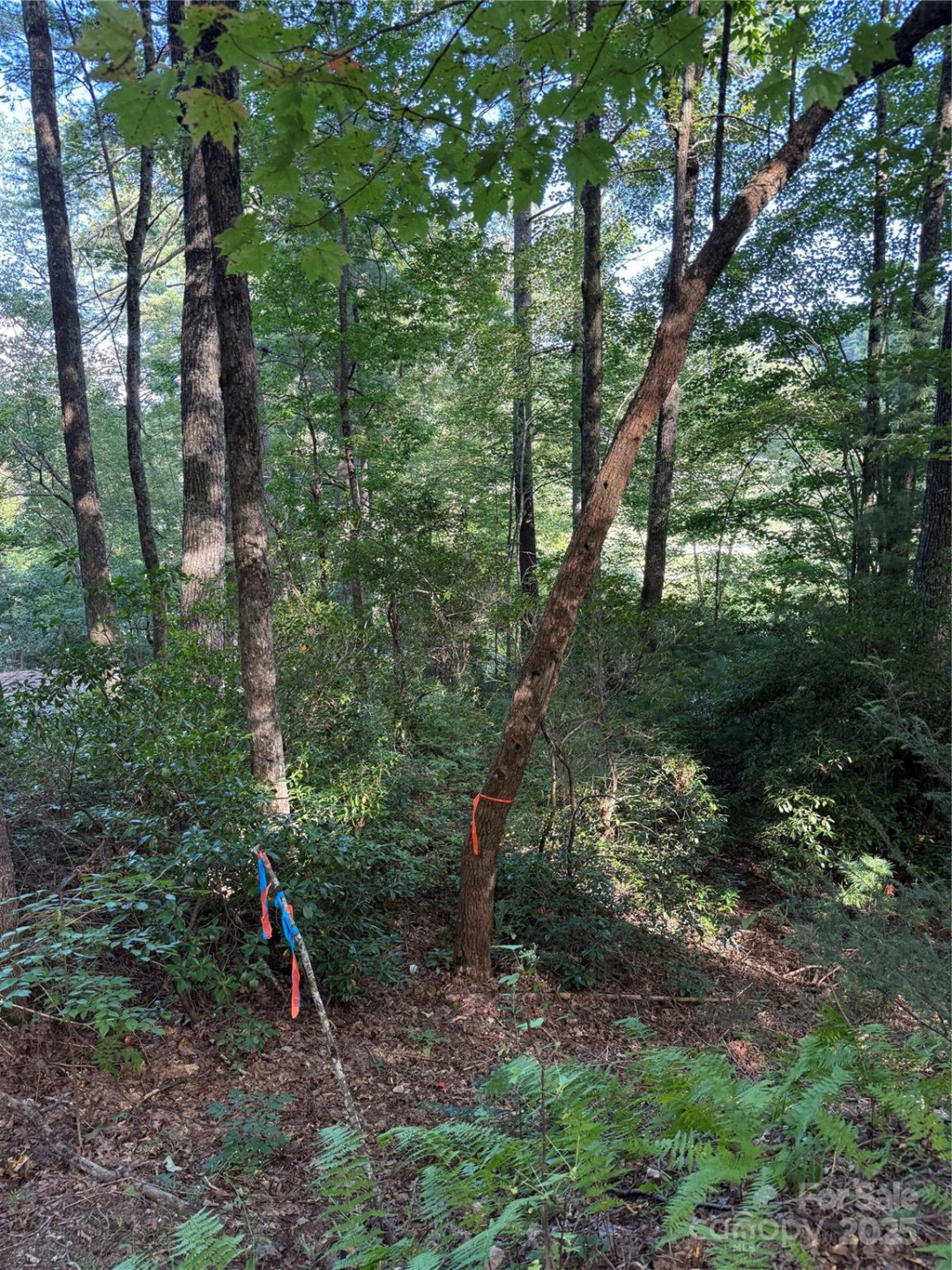 D51-52 North Club Boulevard #D51-52 - Photo 11