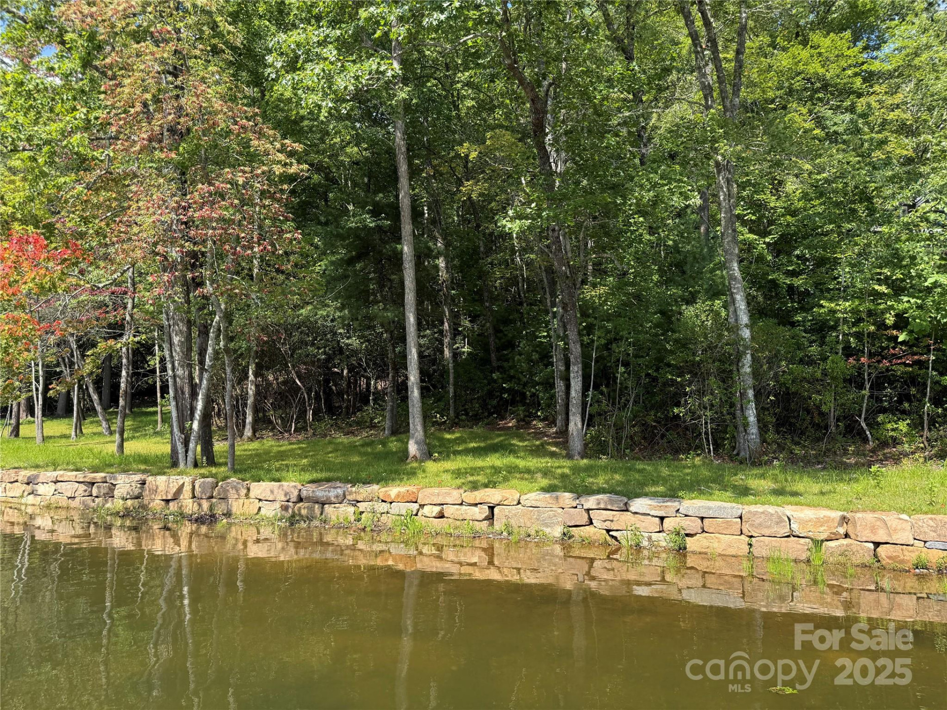 D51-52 North Club Boulevard #D51-52 - Photo 3