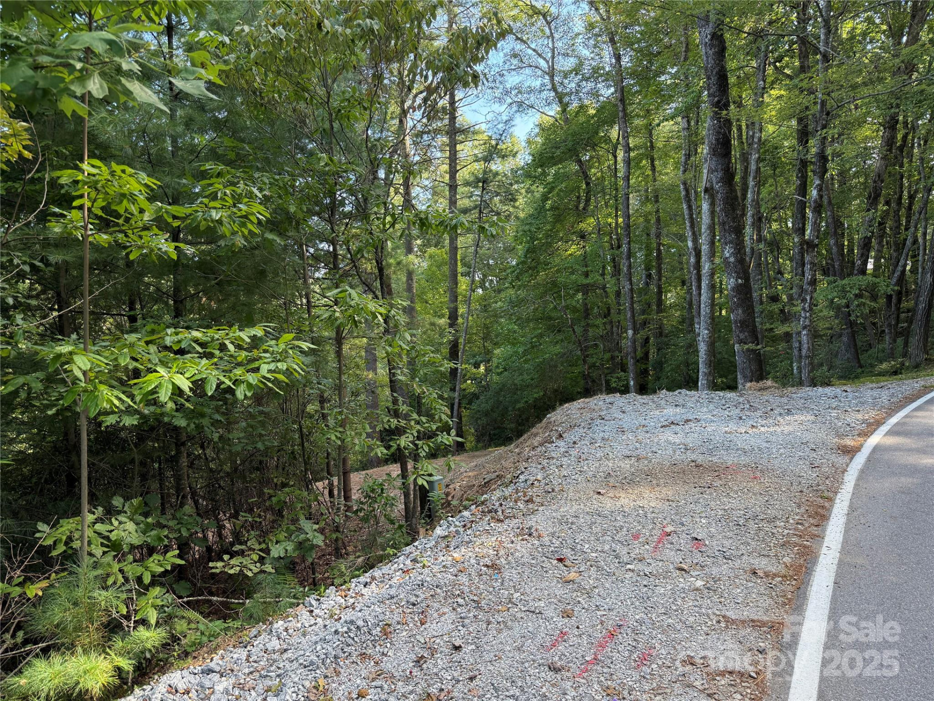 D51-52 North Club Boulevard #D51-52 - Photo 7