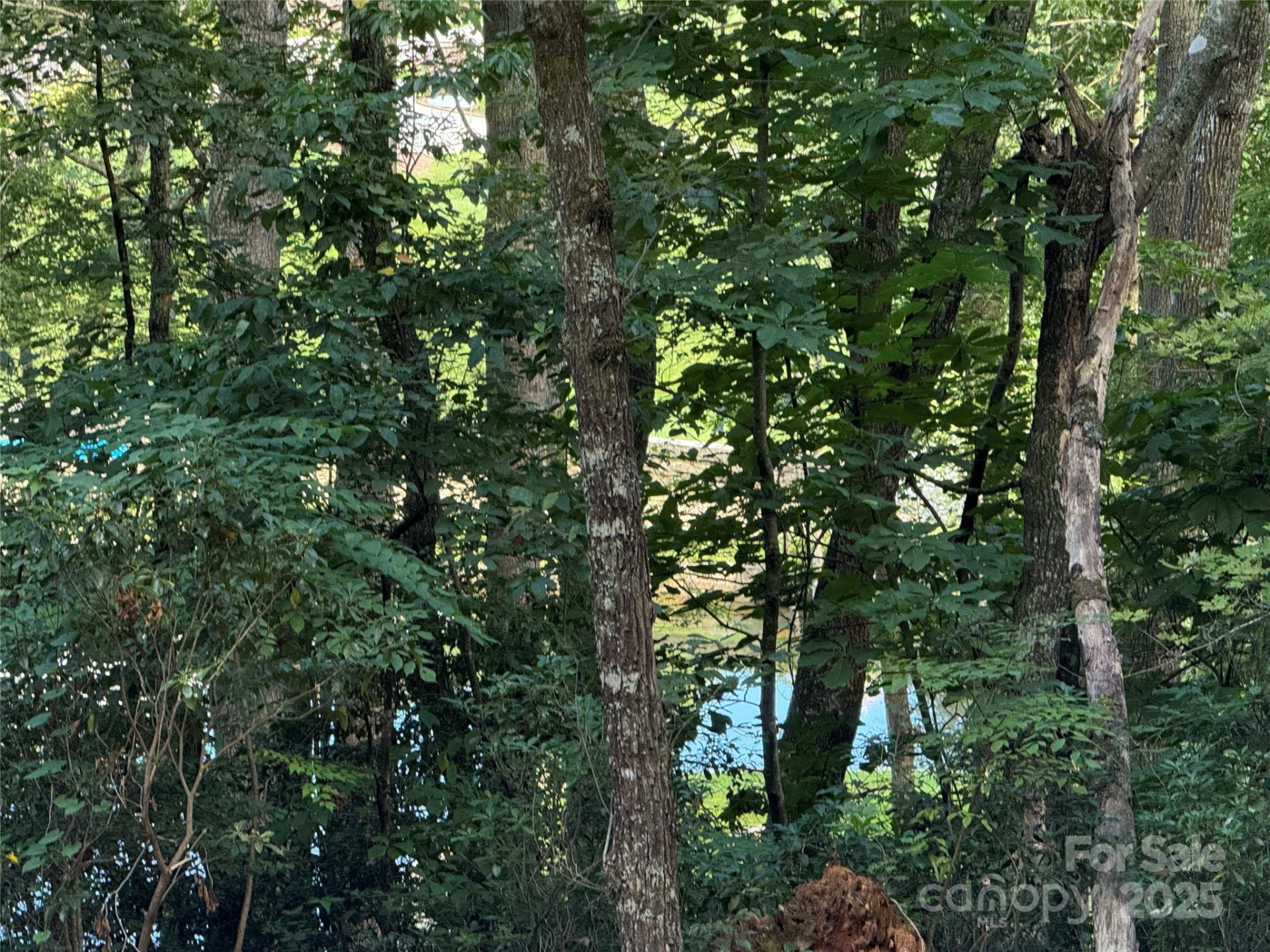 D51-52 North Club Boulevard #D51-52 - Photo 8