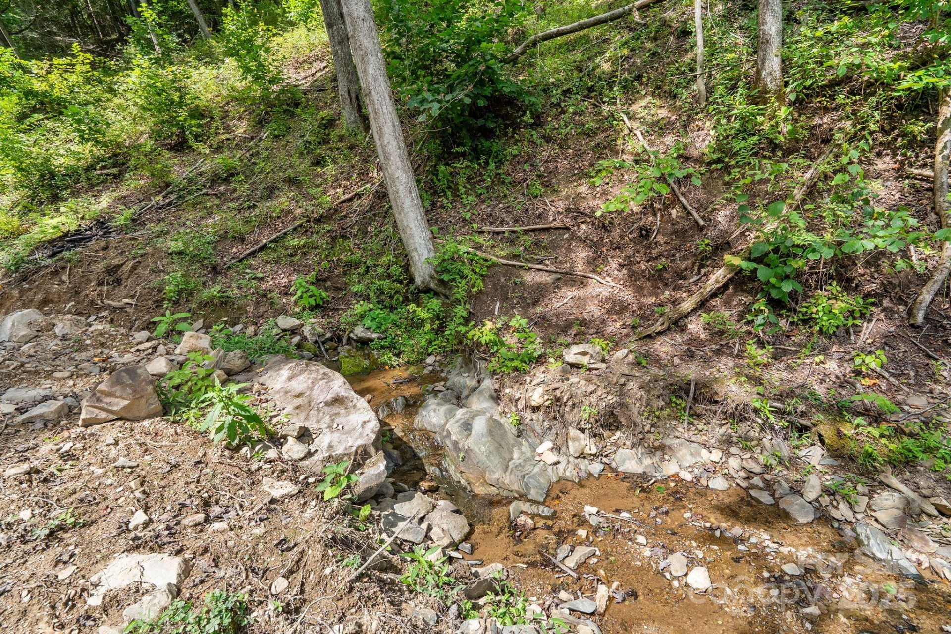 ### Bluff Mountain Road - Photo 12