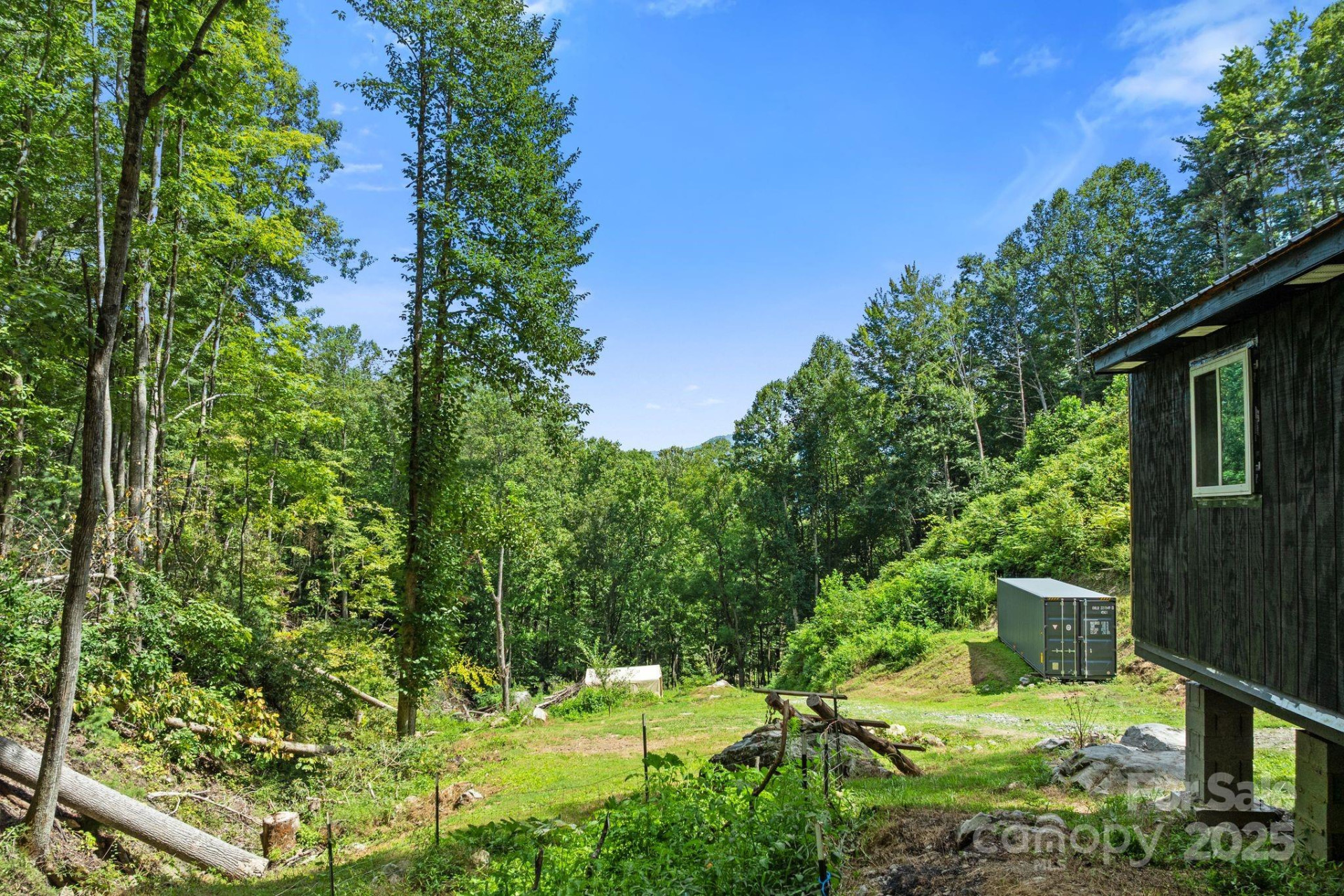 ### Bluff Mountain Road - Photo 15