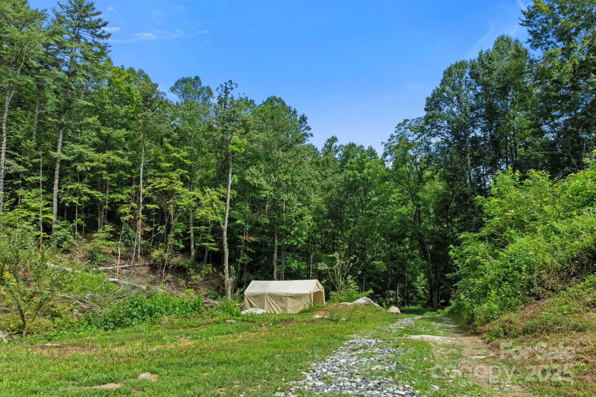 ### Bluff Mountain Road - Photo 21