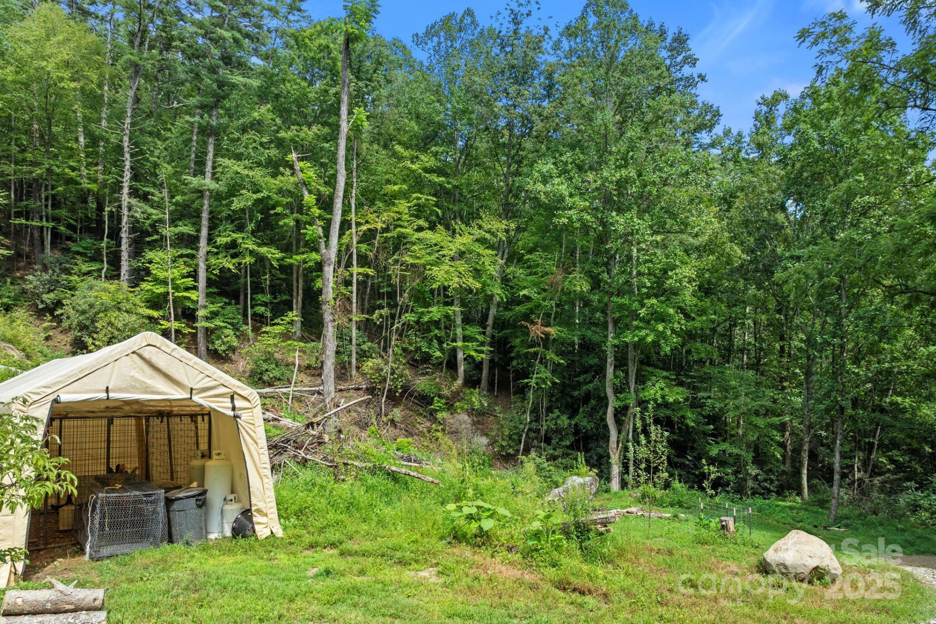 ### Bluff Mountain Road - Photo 22