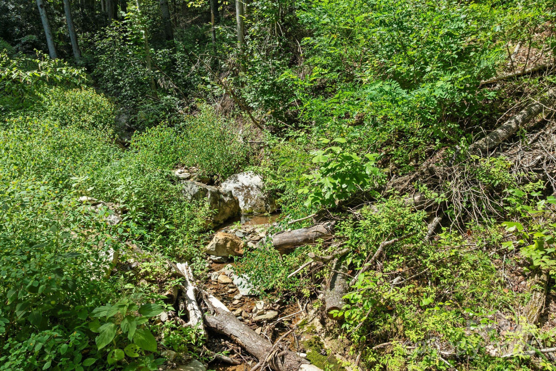 ### Bluff Mountain Road - Photo 23